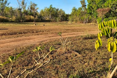 Territory Rural Backyard
