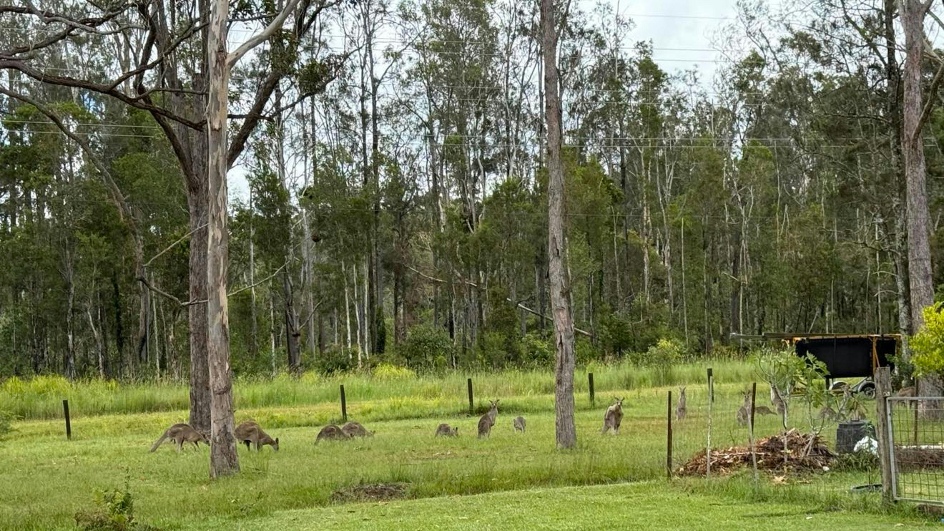 The Arcadia Urban Bush Retreat