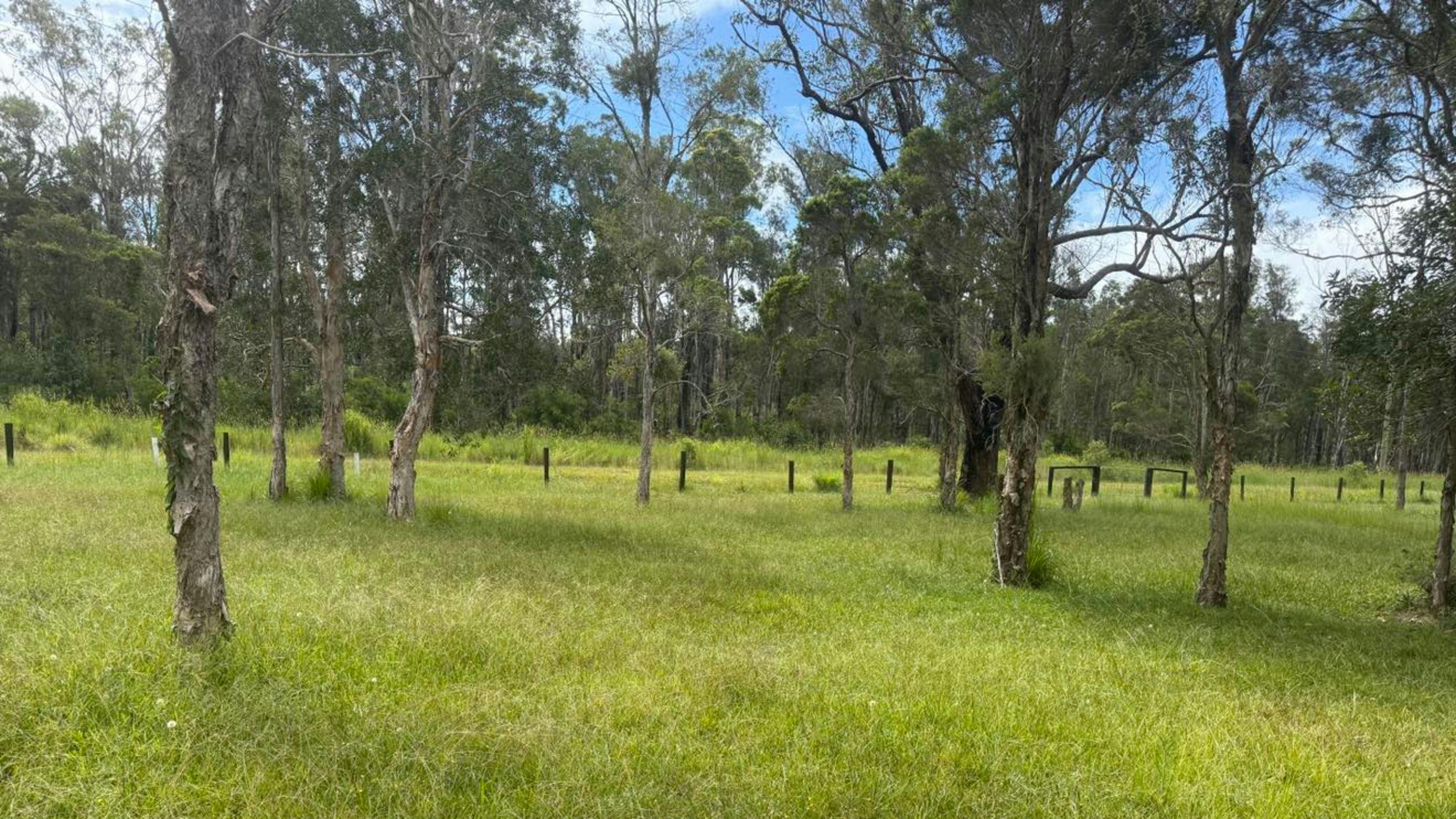 The Arcadia Urban Bush Retreat