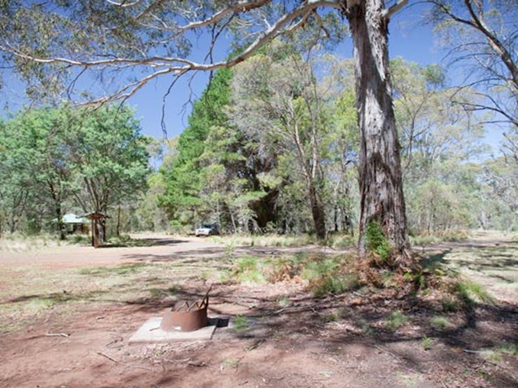 The Barracks campground, Coolah Tops National Park. Photo: Nick Cubbin/NSW Government