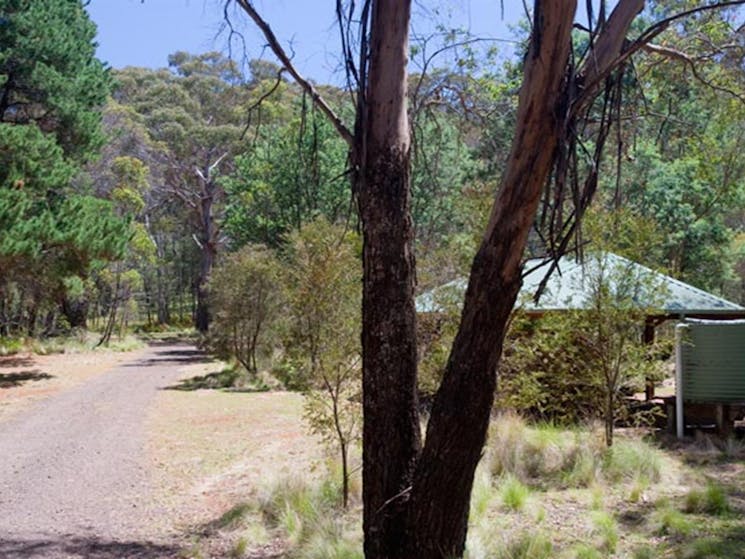 The Barracks campground, Coolah Tops National Park. Photo: Nick Cubbin/NSW Government