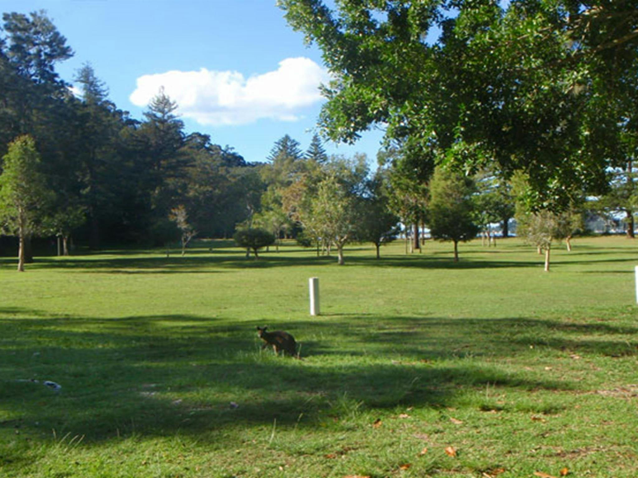 The Basin picnic area, Ku-ring-gai Chase National Park. Photo: David Finnegan/NSW Government