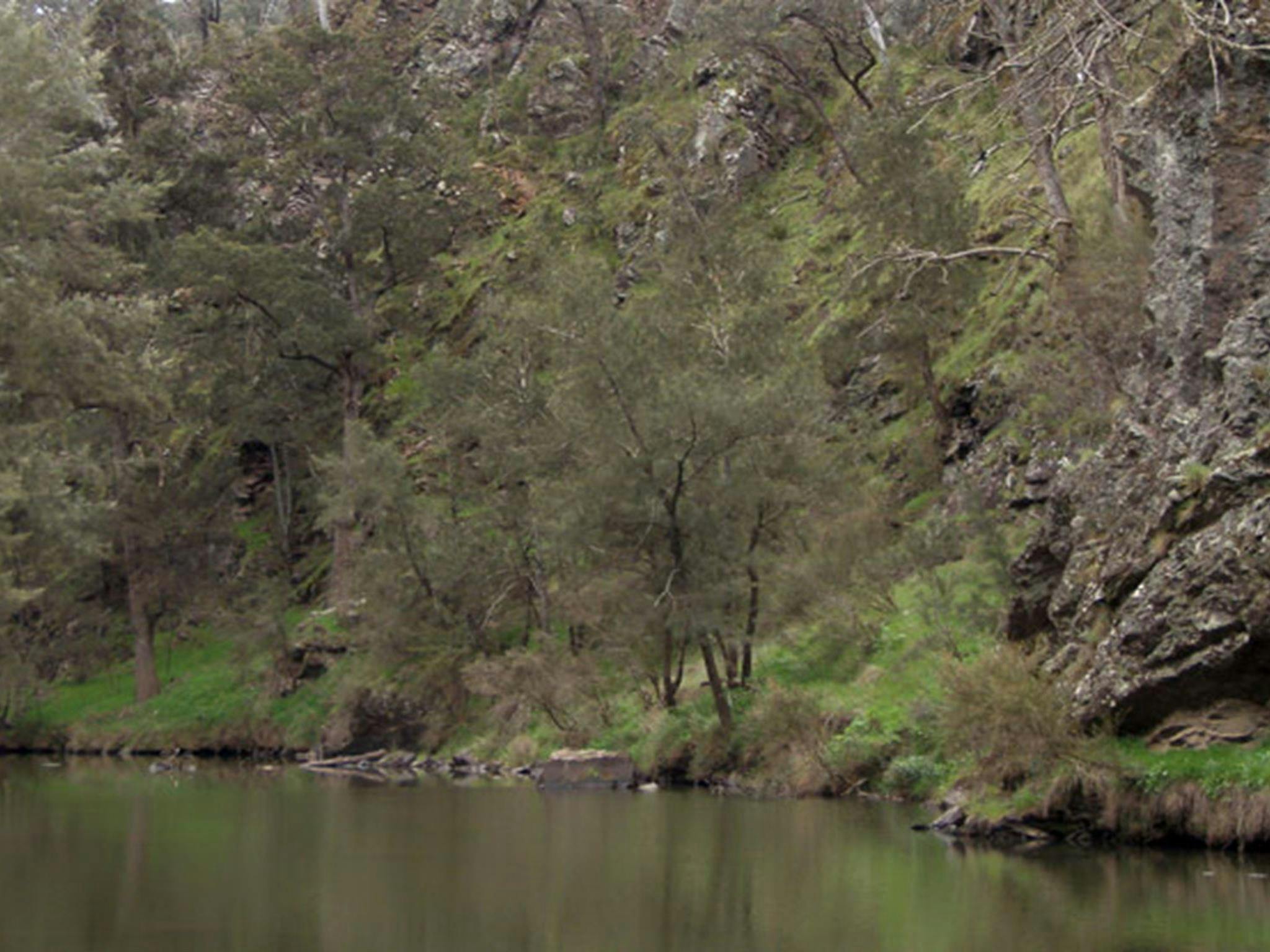 The Beach campground, Abercrombie River National Park. Photo: NSW Government