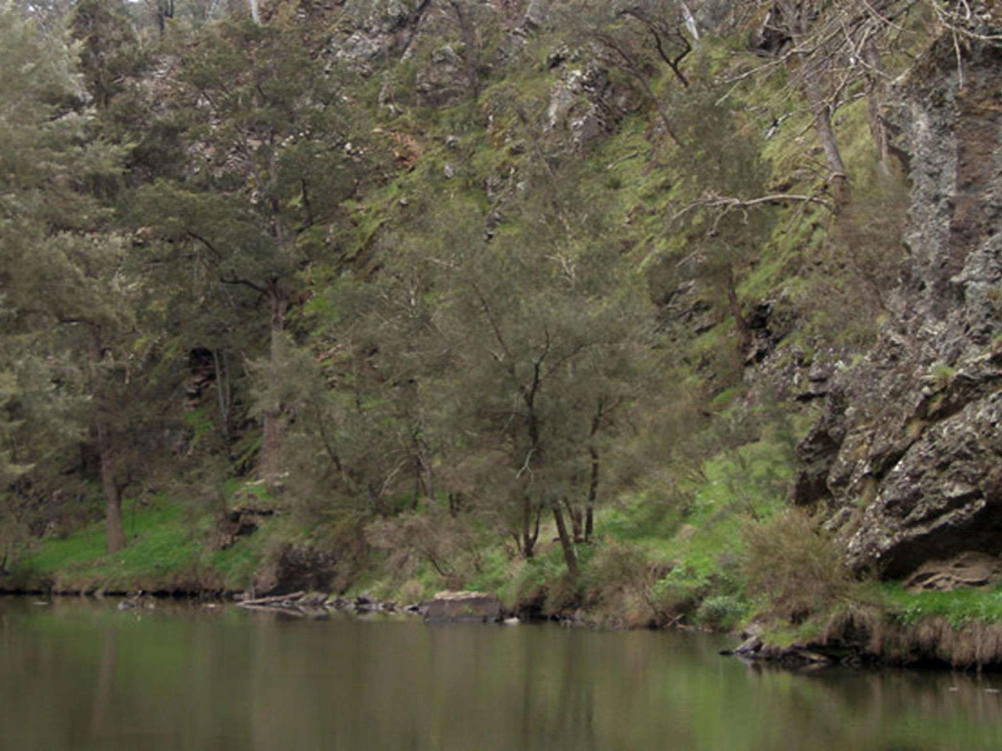 The Beach campground, Abercrombie River National Park. Photo: NSW Government