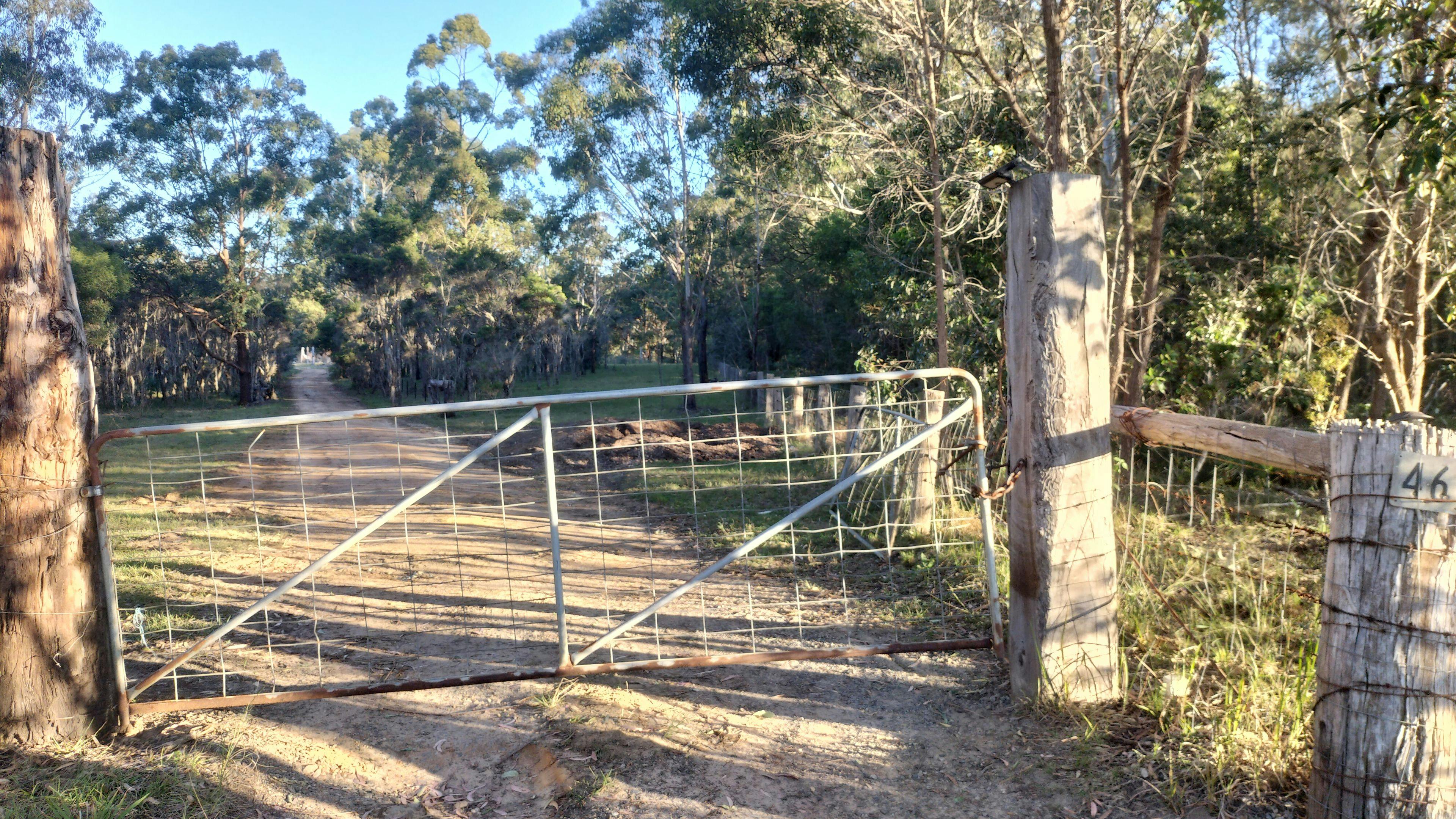 ブルーベリー農園