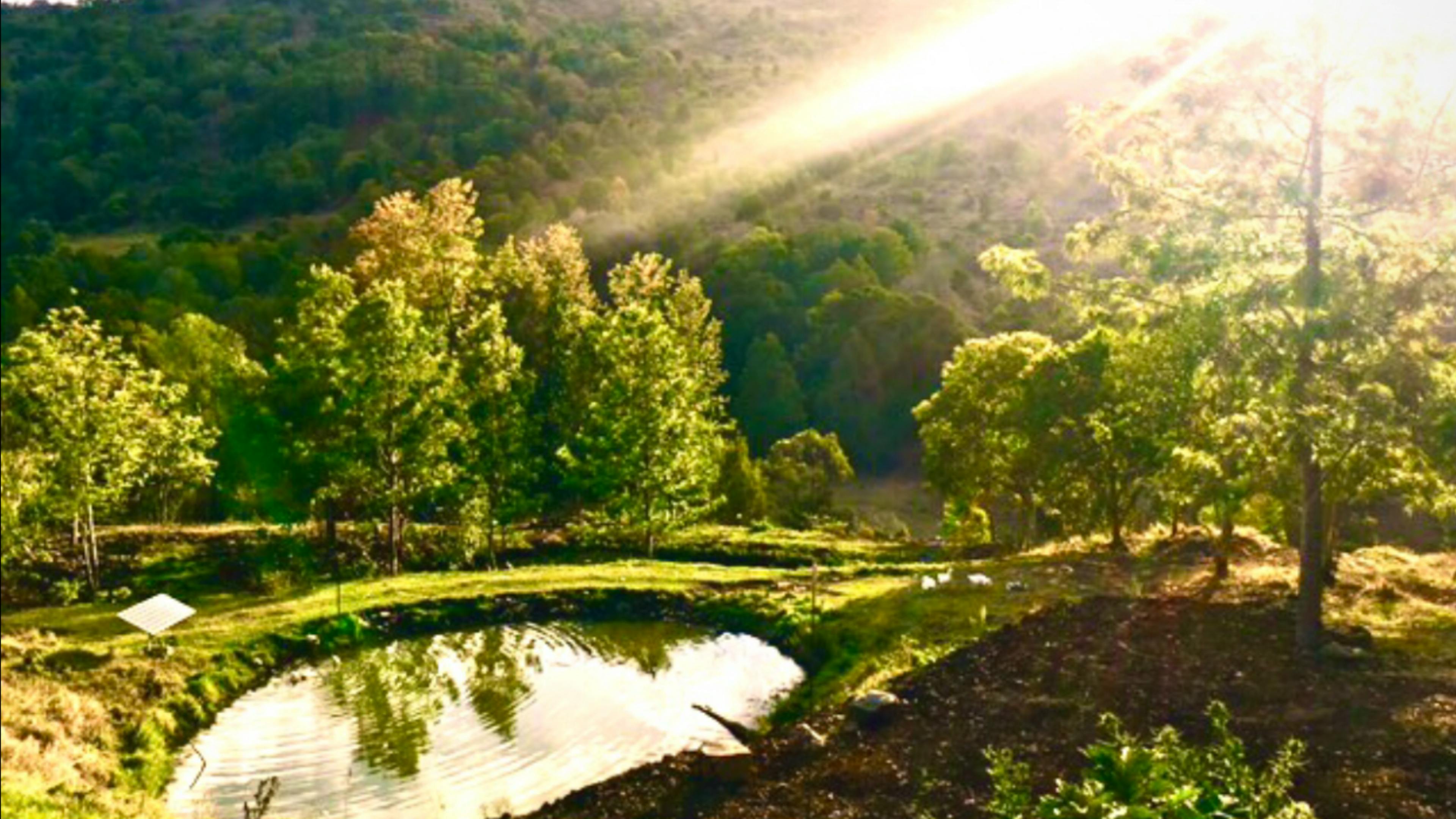 The Bush Clinic, Hinterland Retreat