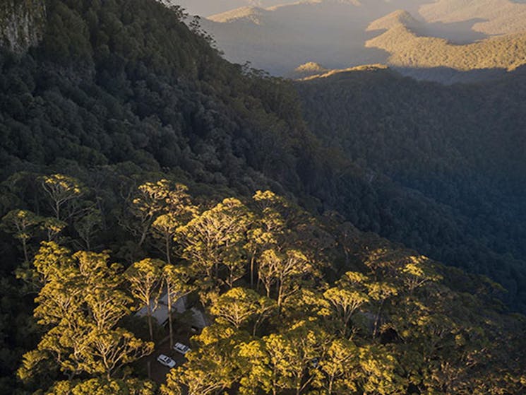 Aerial view of The Chalet positioned within the tall forest of New England National Park. Photo: