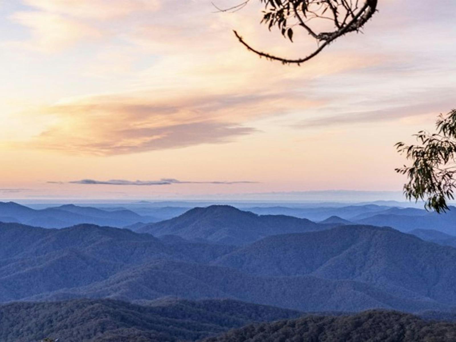 The view from The Chalet in New England National Park. Photo: Mitchell Franzi © DPIE