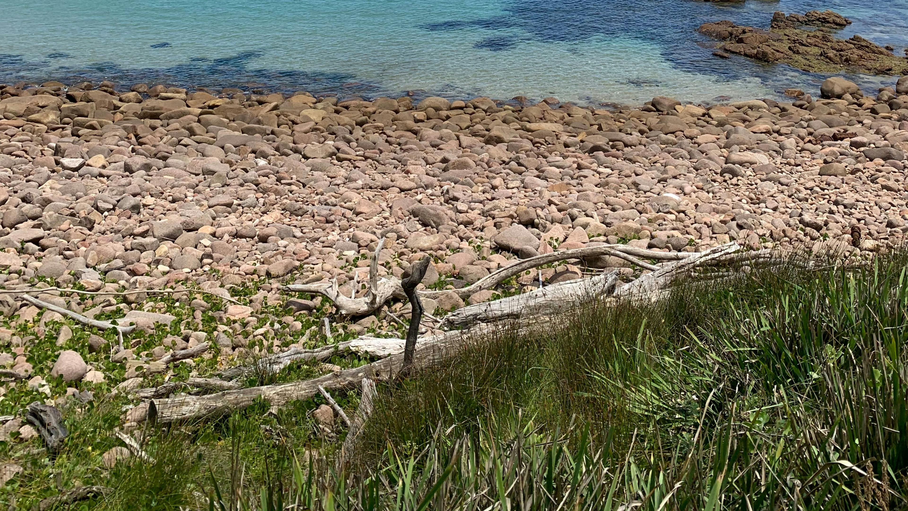 The Coastal Paddock, One Mile Beach, Port Stephens, NSW