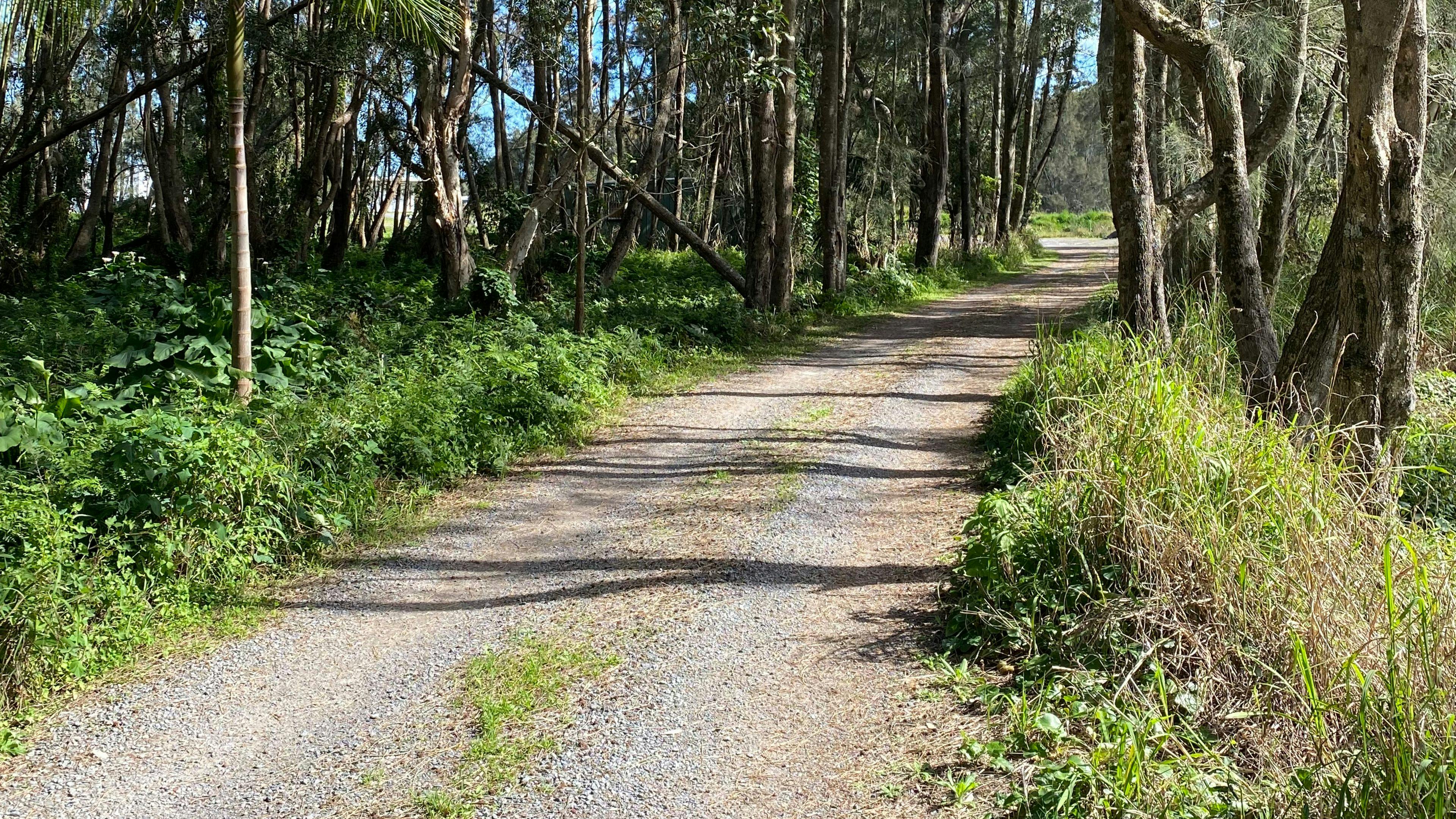 Set back 100m from Eucalyptus Dr. 