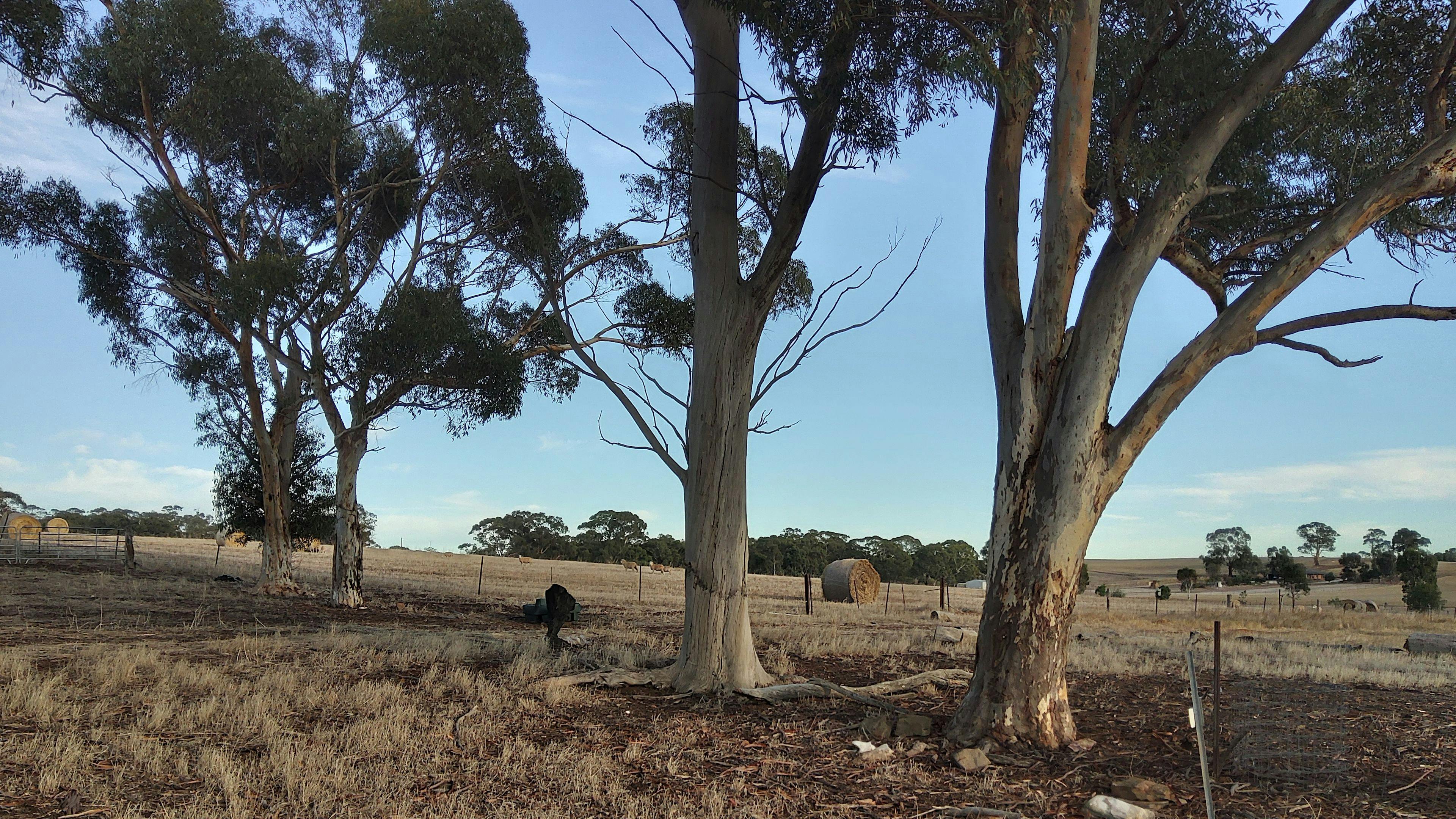 The Cottage at Undalya