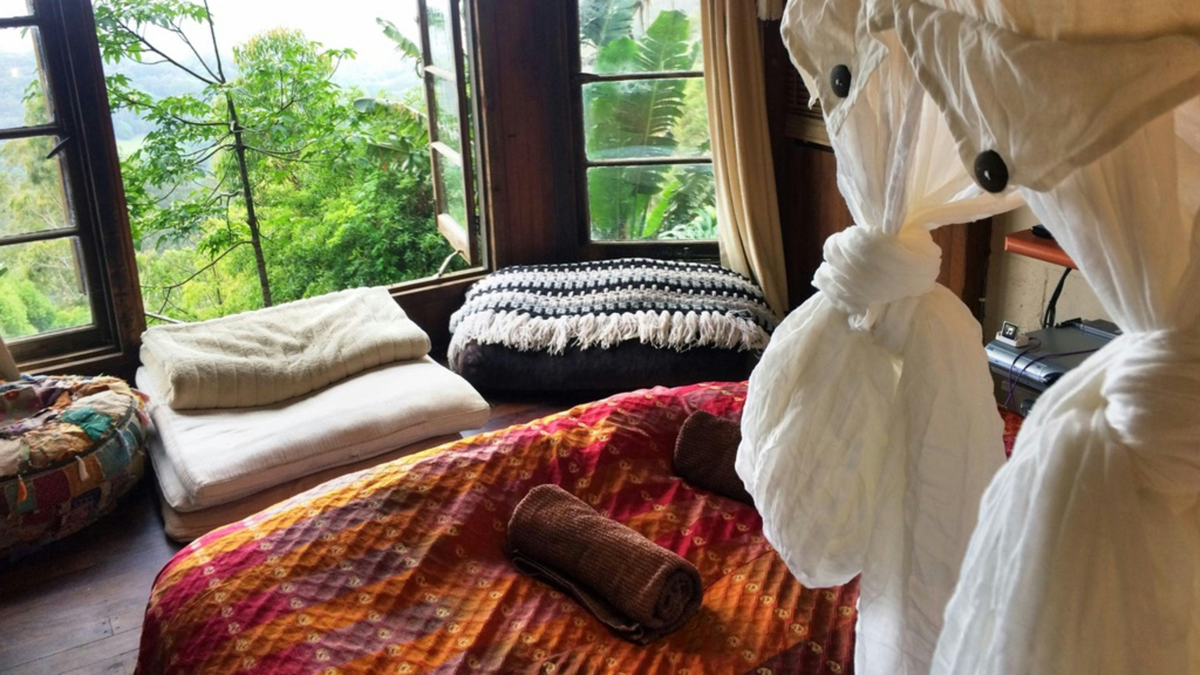 트리하우스의 굴