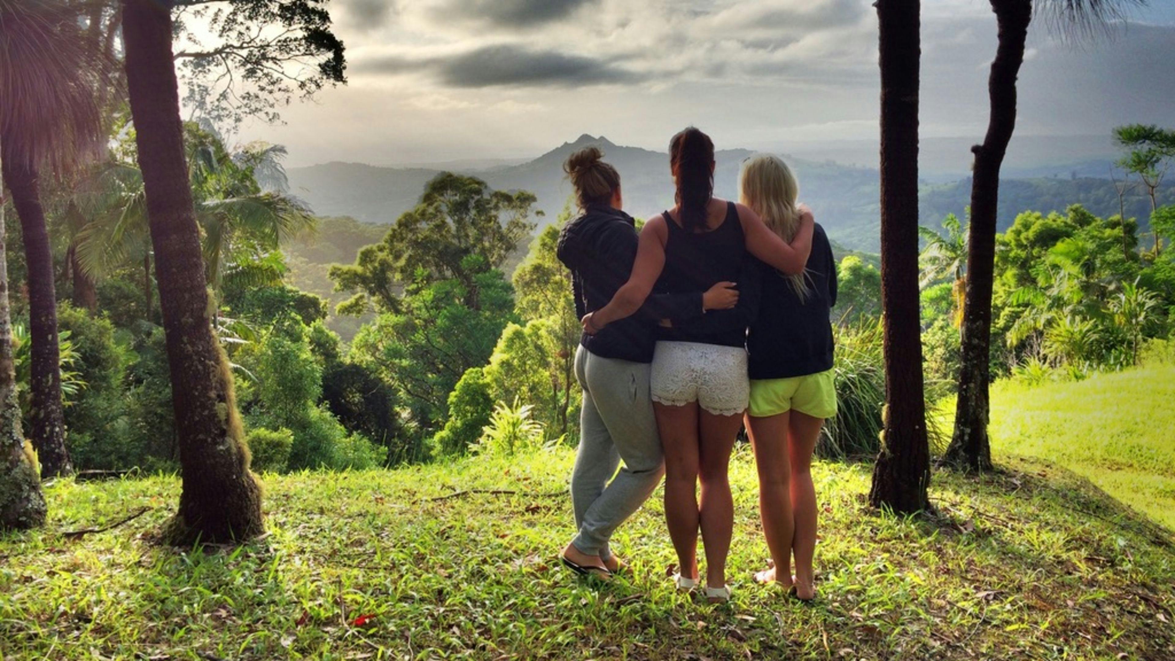 트리하우스의 굴