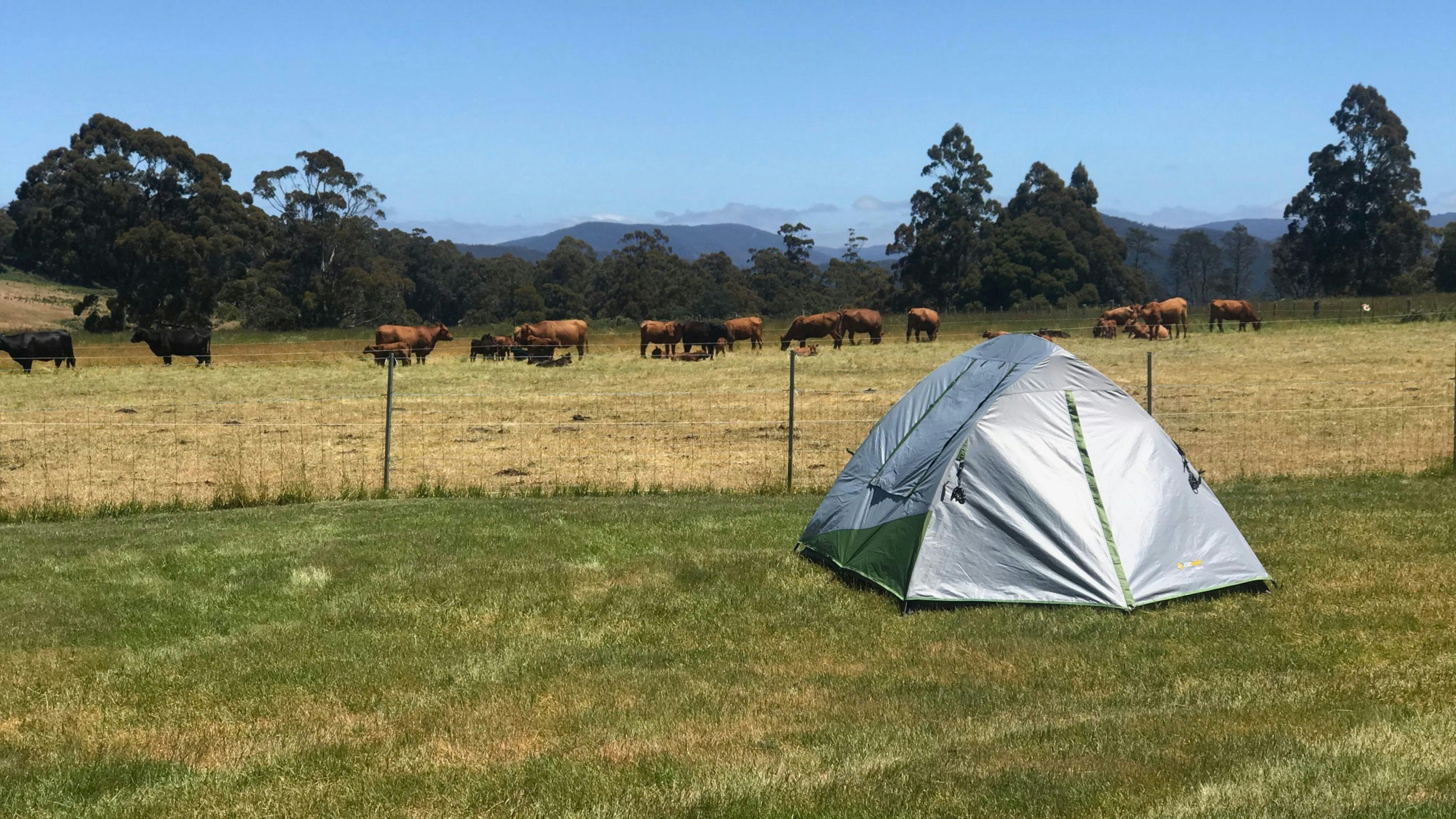 The Farm Cradle Country