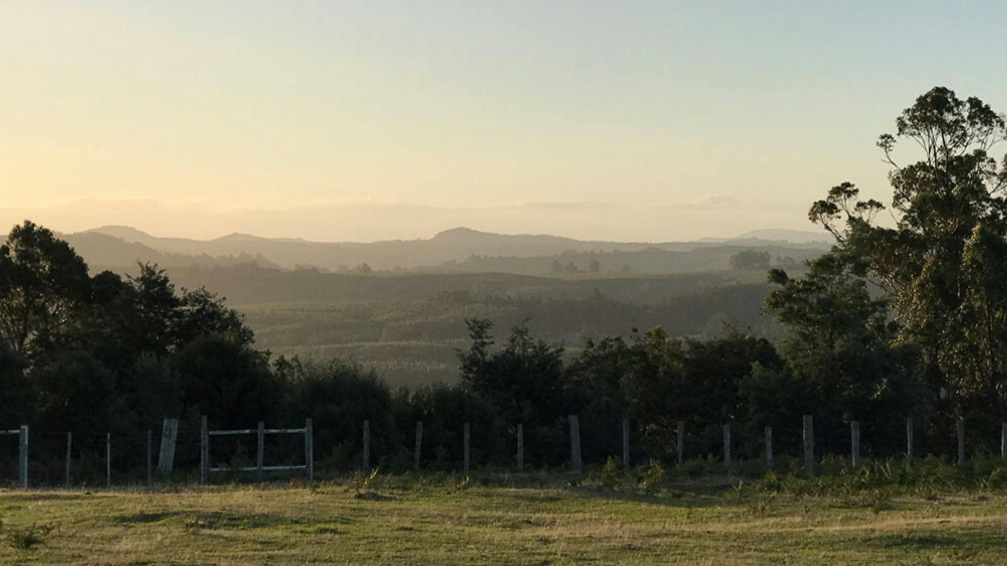 The Farm Cradle Country
