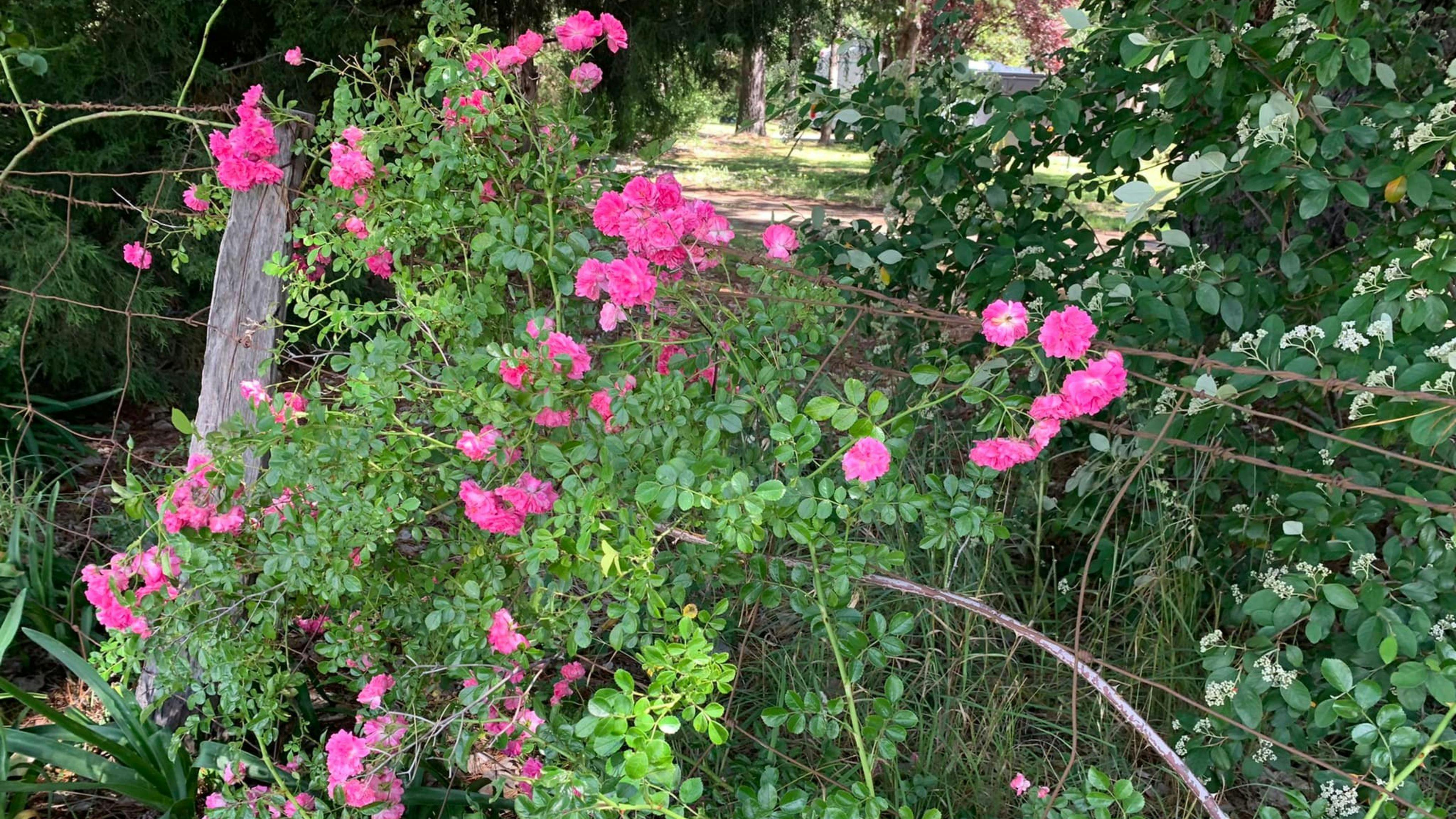 포레스트 스튜디오 유닛.