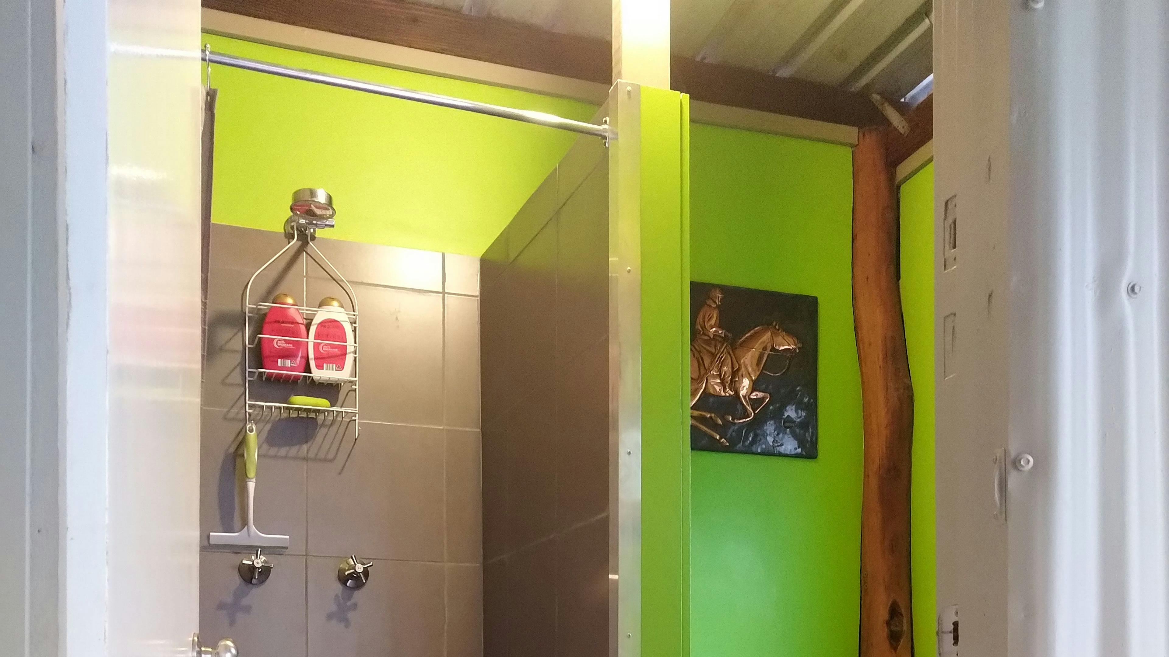 The shower and toilet room.