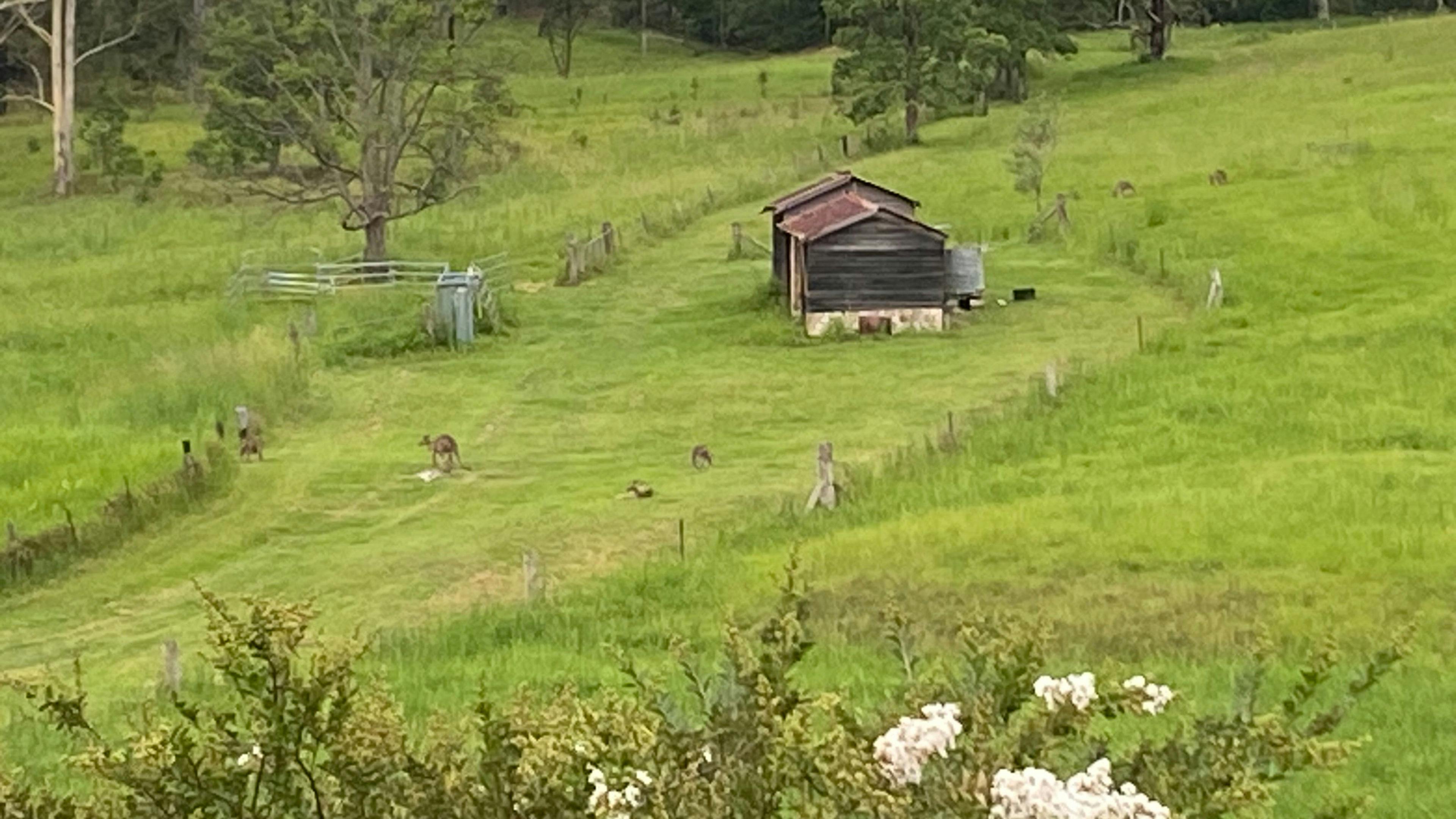 The Good Life Camping