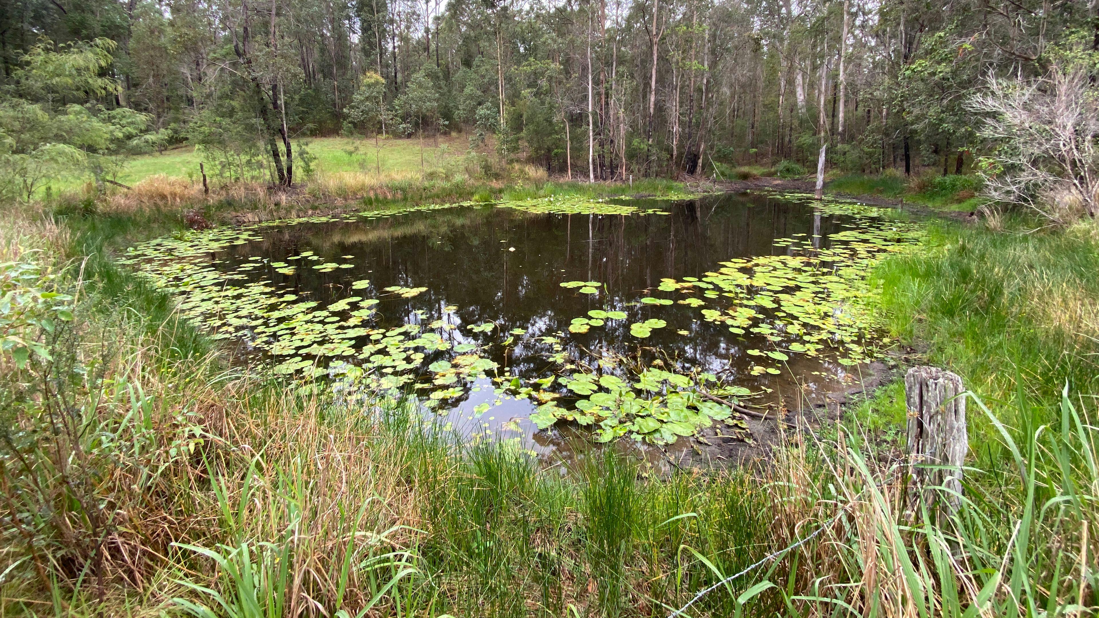 The Good Life Camping