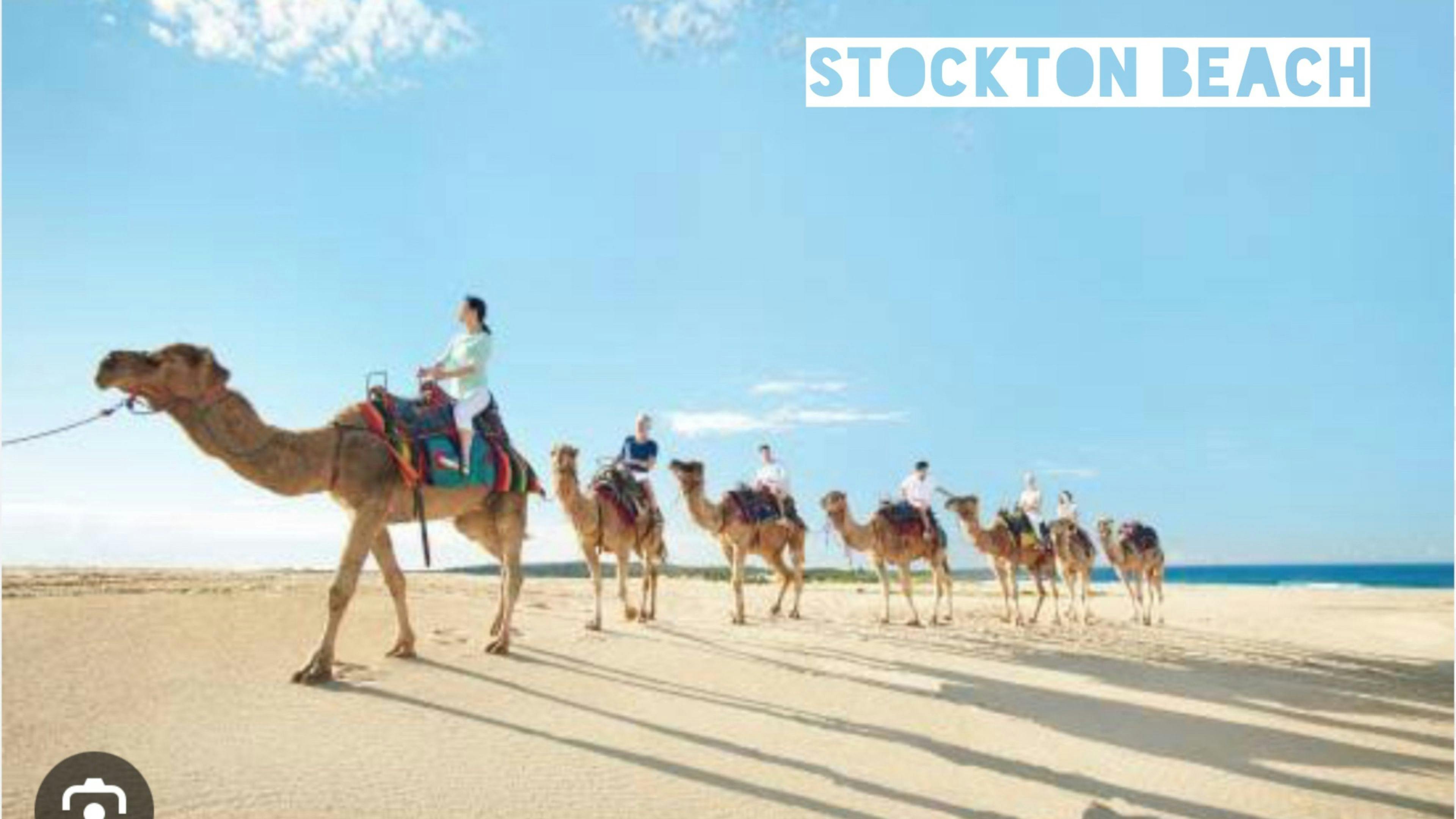 Camel Rides - Located Birubi Beach, 15 approx from location. 