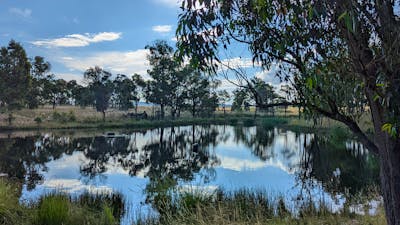 The Hobby Sheep Farm