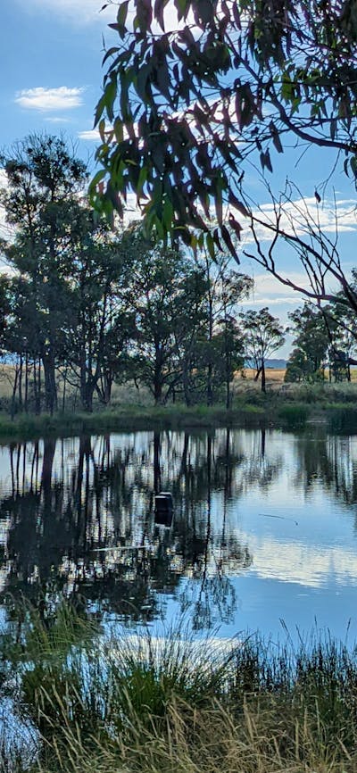 The Hobby Sheep Farm