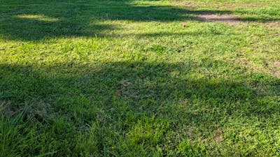 The Hobby Sheep Farm