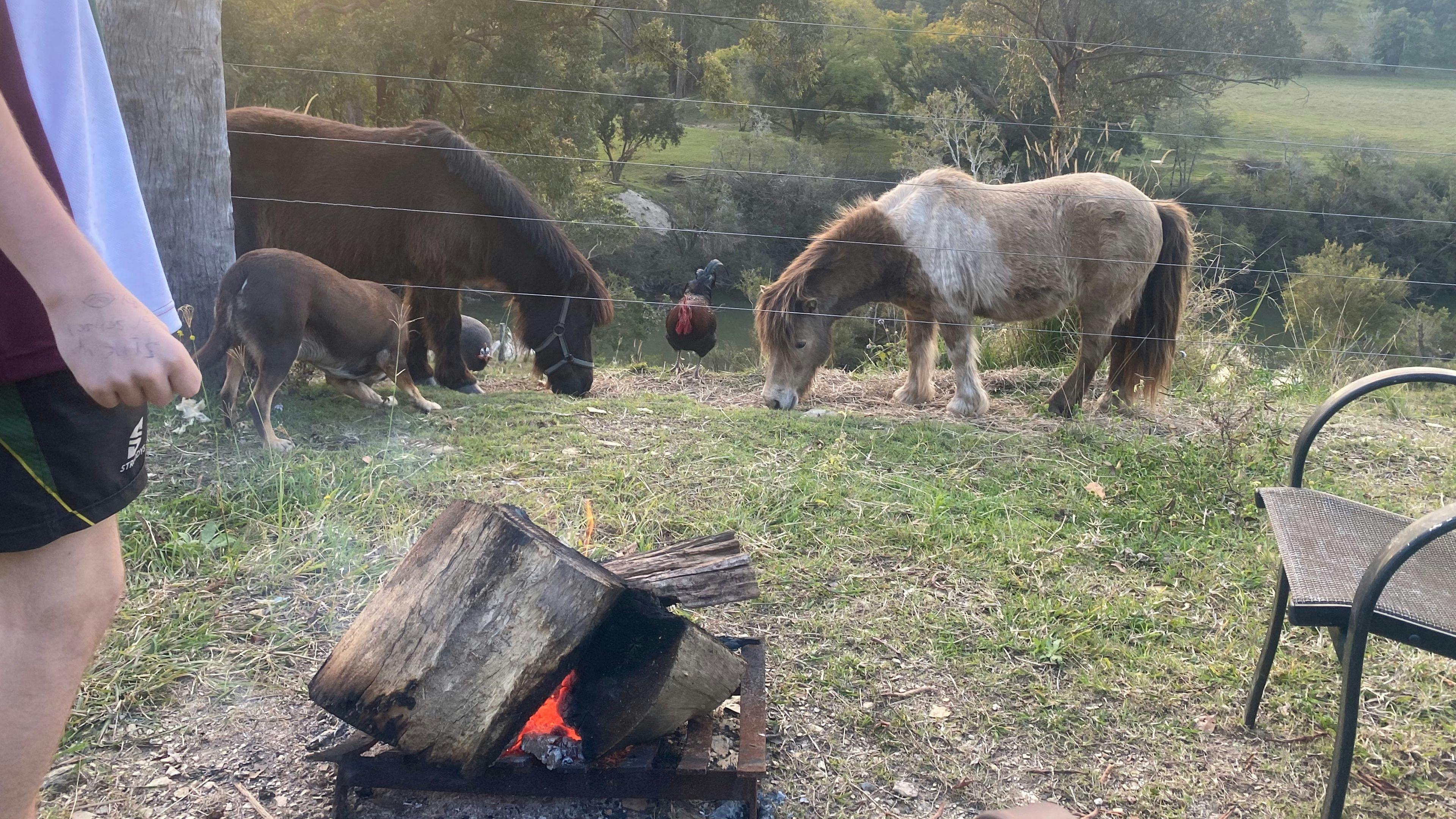 The Last Resort