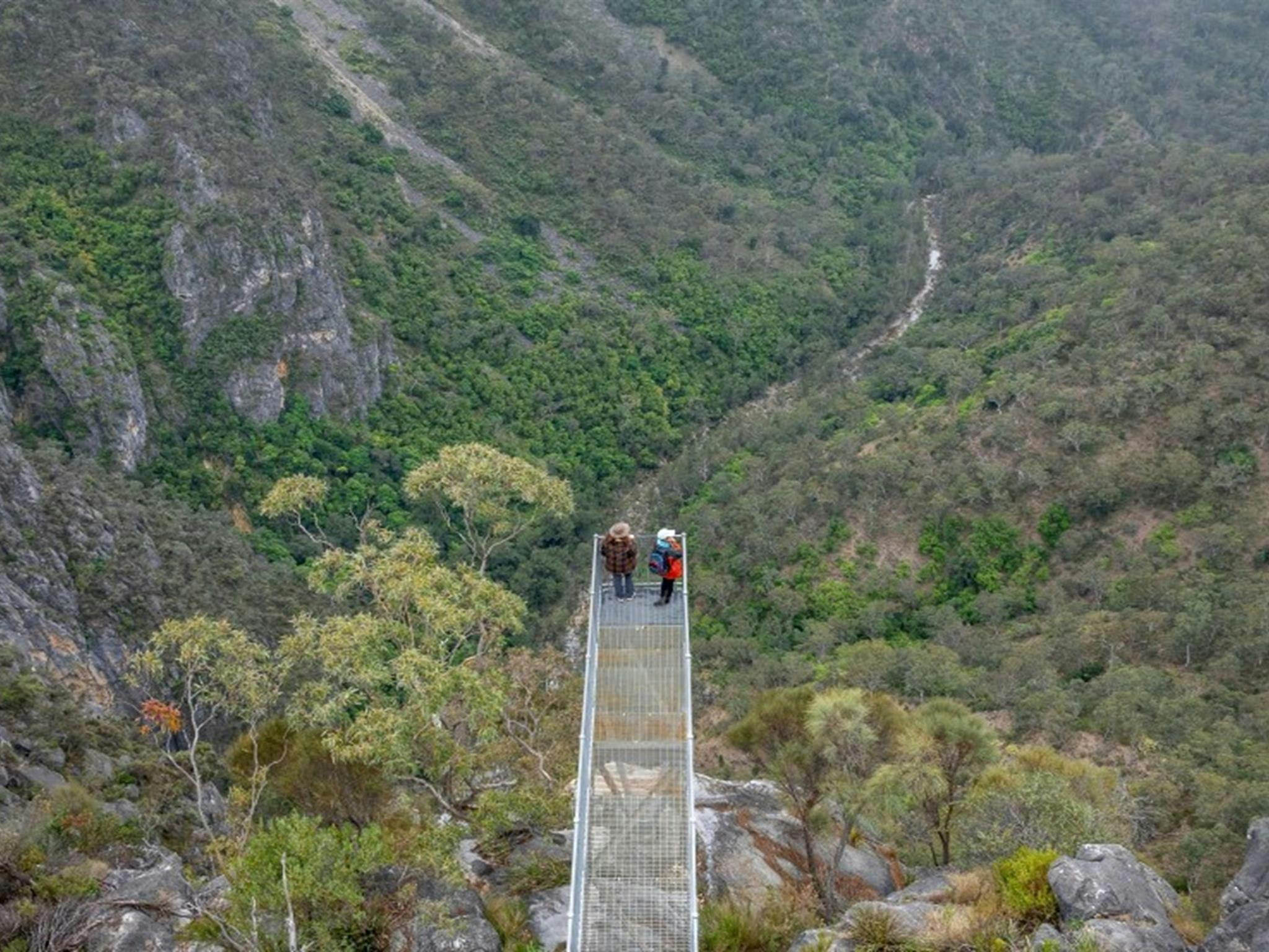 The Lookdown lookout