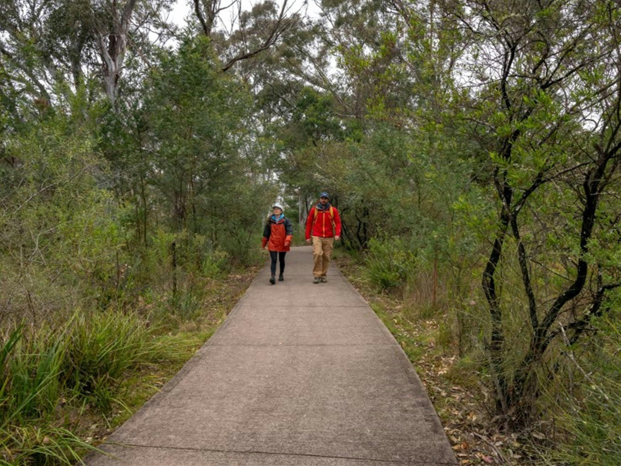 Two people walking along the path to The Lookdown lookout in Bungonia National Park. Photo: John