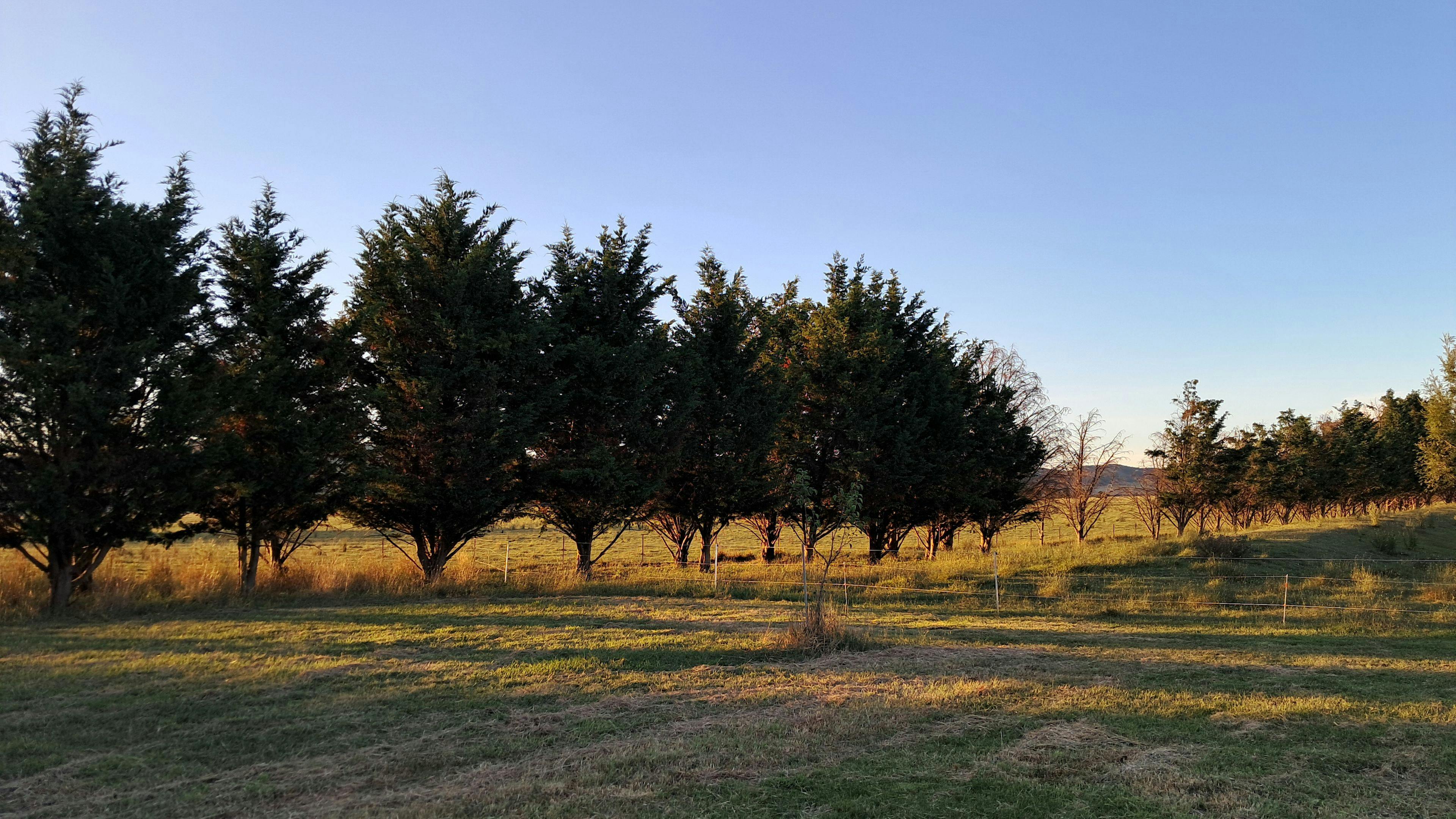 Meadow Road 　牧草地の道 豊富町大規模草地育成牧場 | 北海道Style