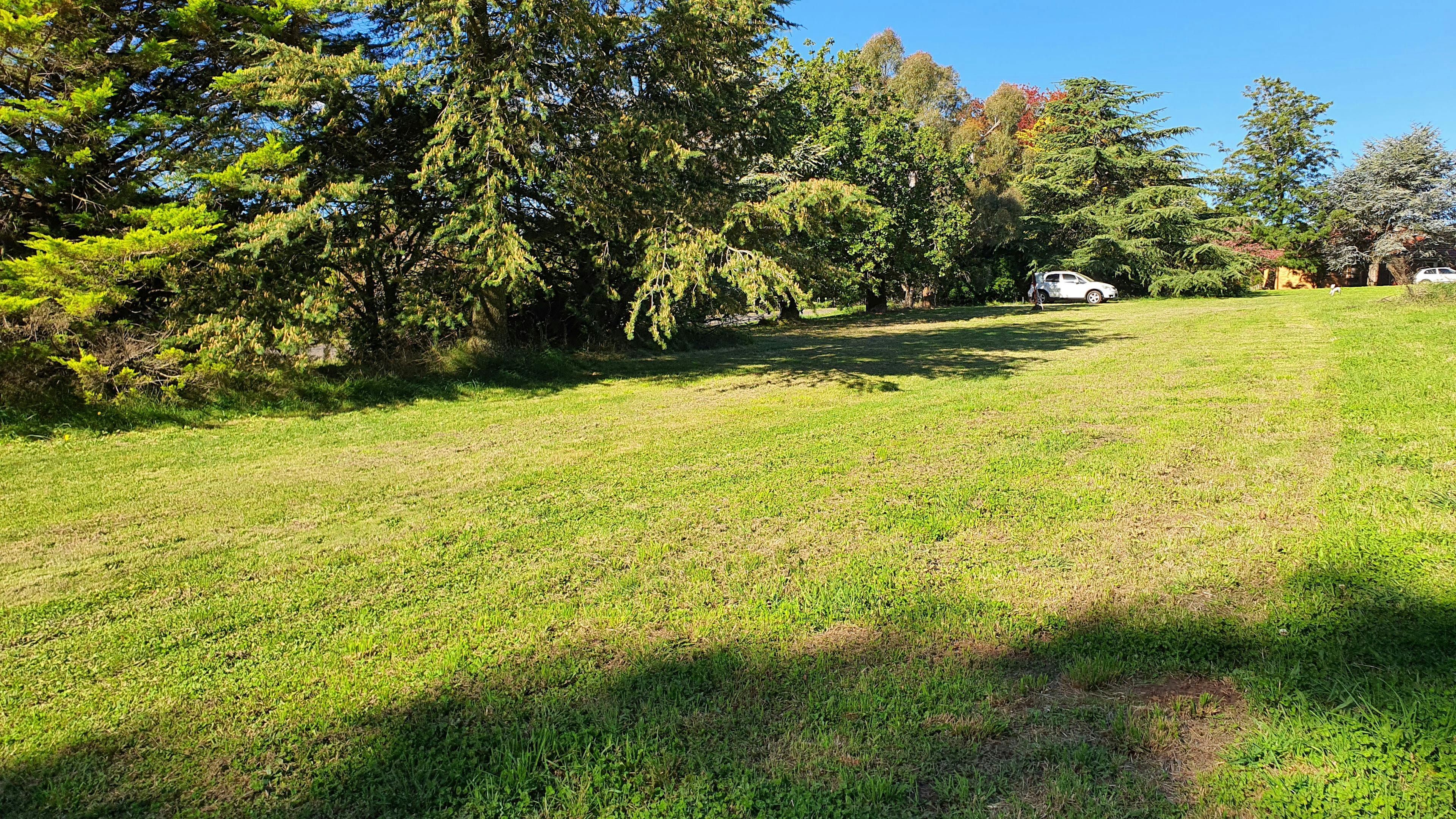 The Orchard