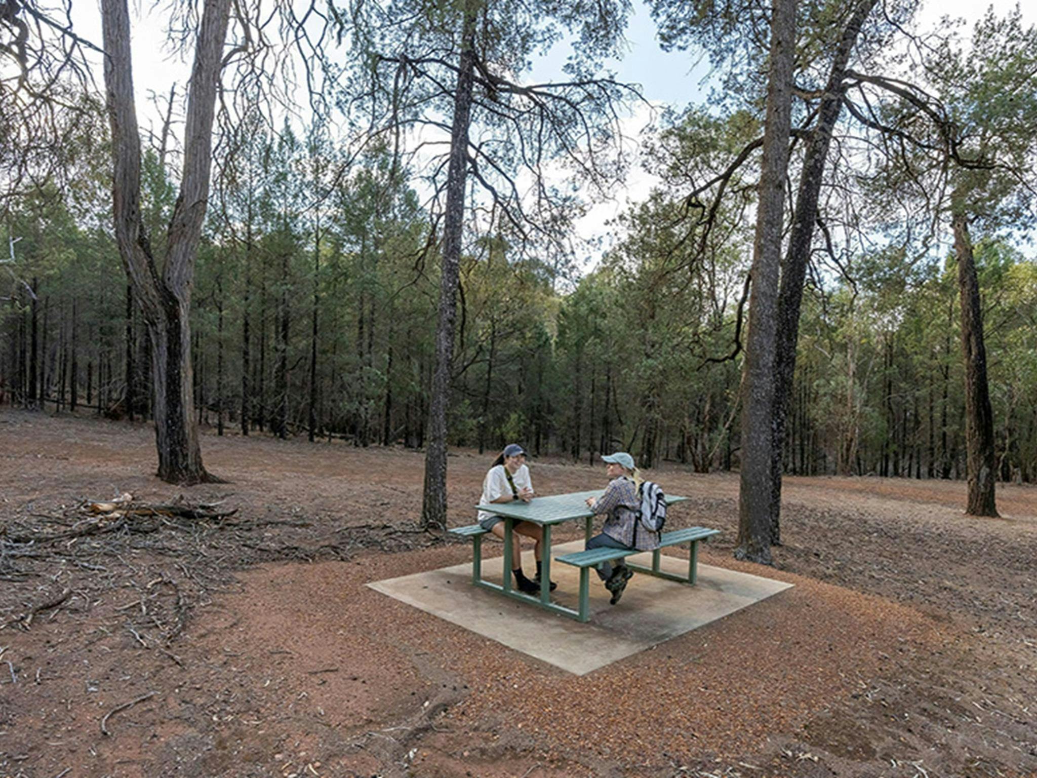 Two people sitting at a picnic table at The Pines picnic area in Cocoparra National Park. Credit: