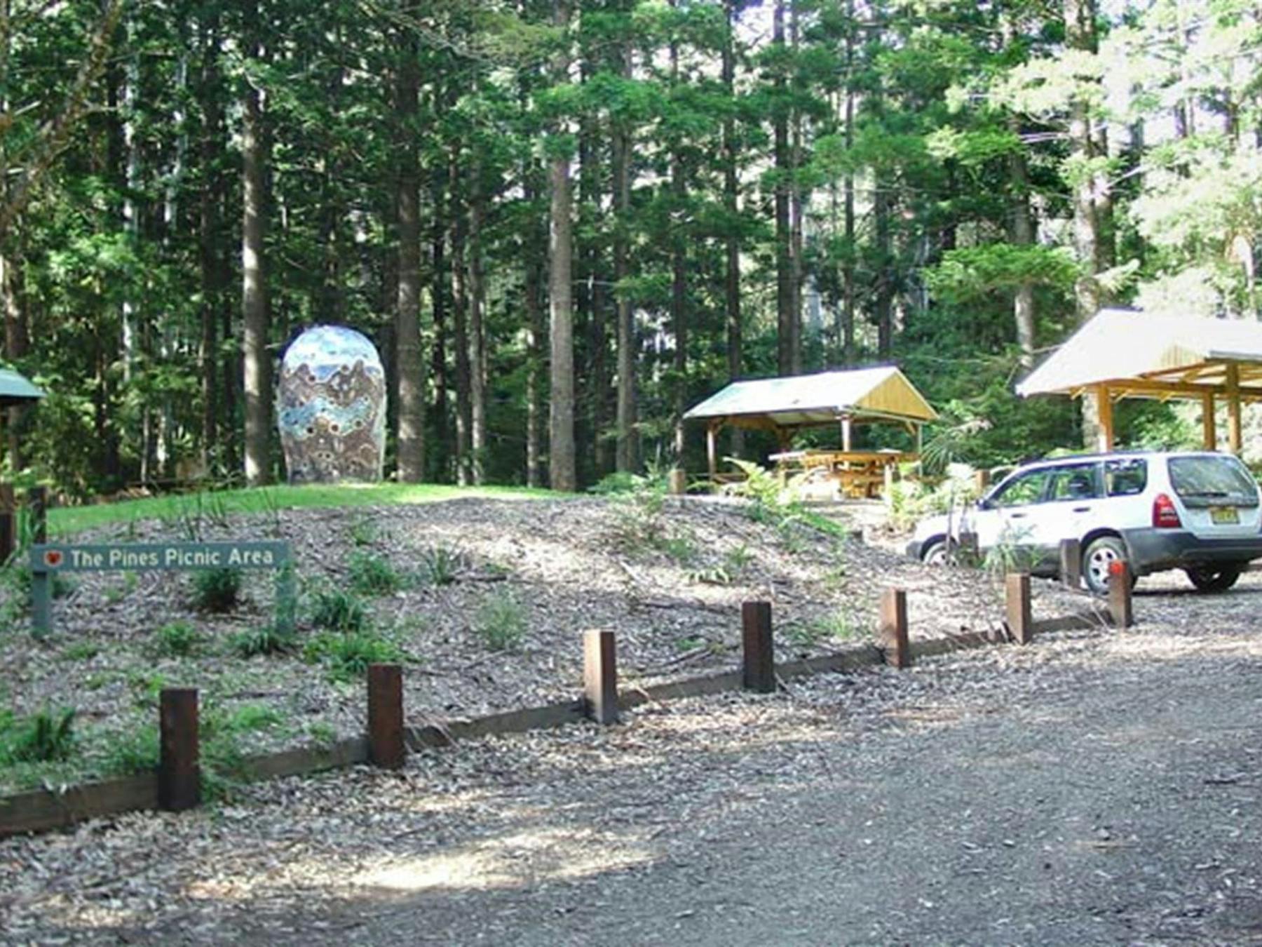 The Pines picnic area, Yarriabini National Park. Photo: A Turbill/NSW Government