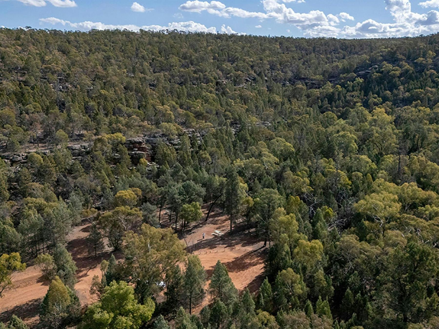 Aerial view of The Pines picnic area in Cocoparra National Park. Credit: John Spencer © DCCEEW