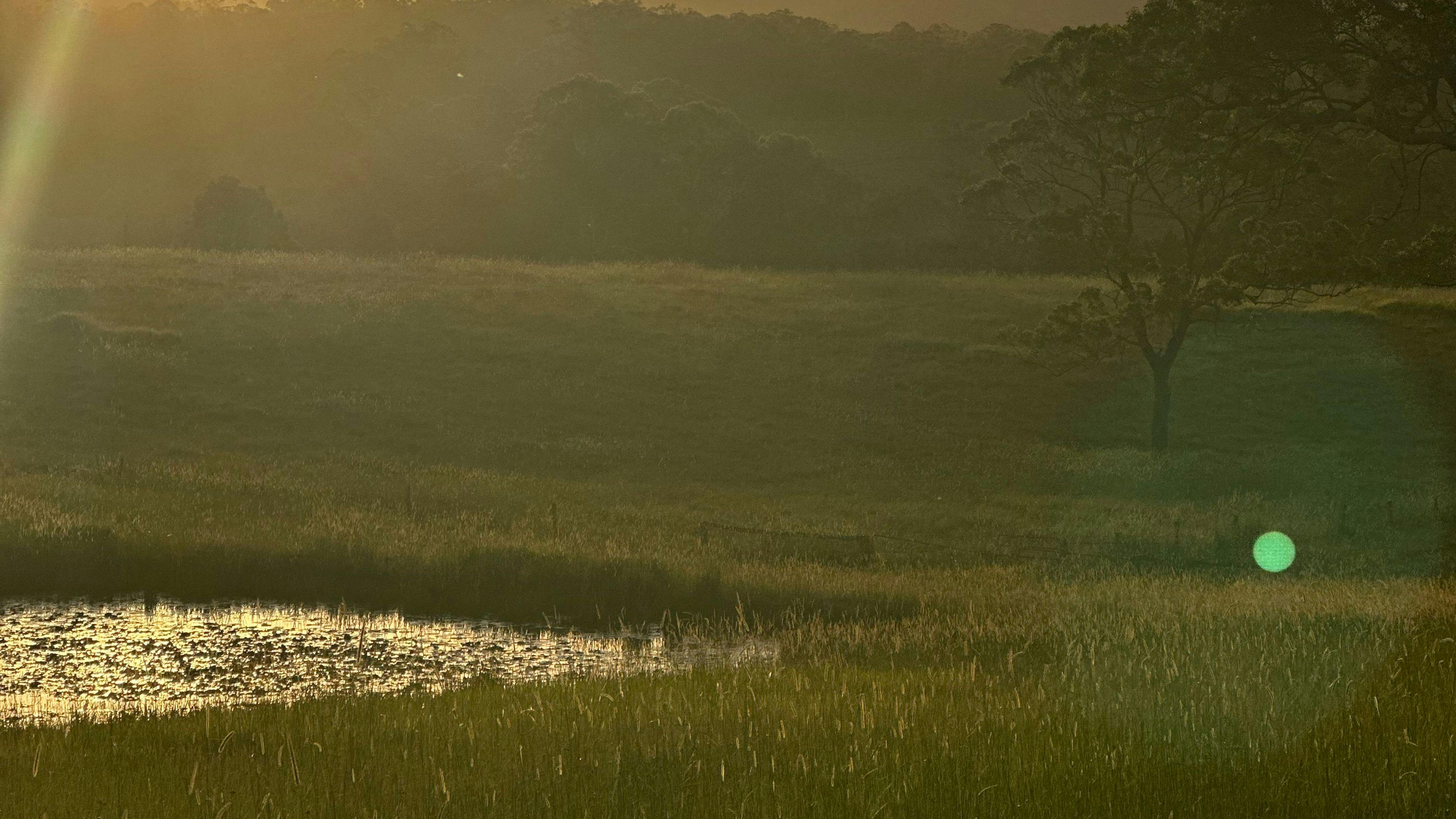 The Plains Ranch and Farm Stay