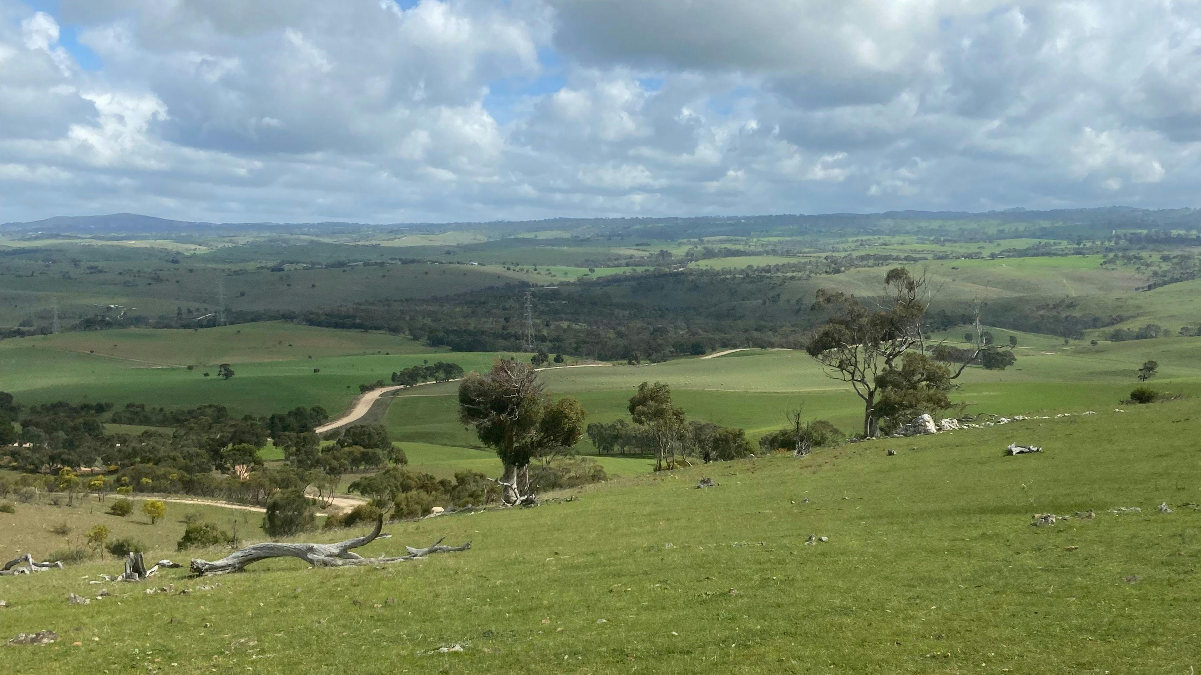 The Plateau Adventures