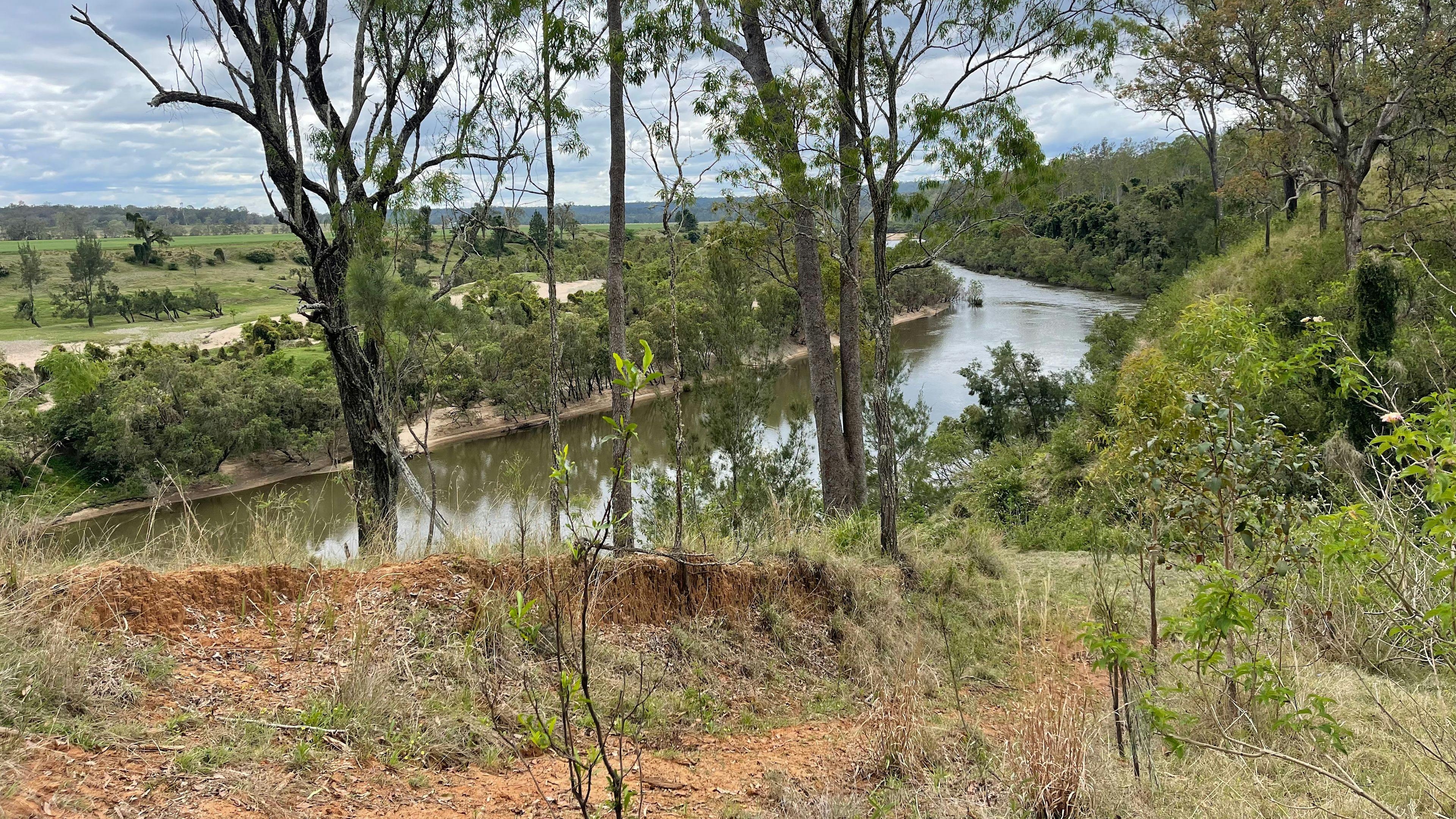 클라렌스에 있는 랜치