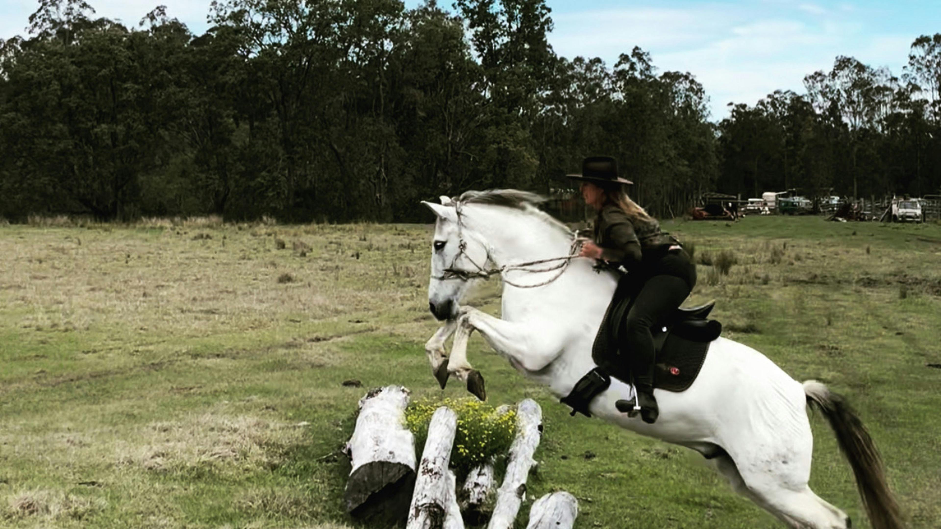 클라렌스에 있는 랜치