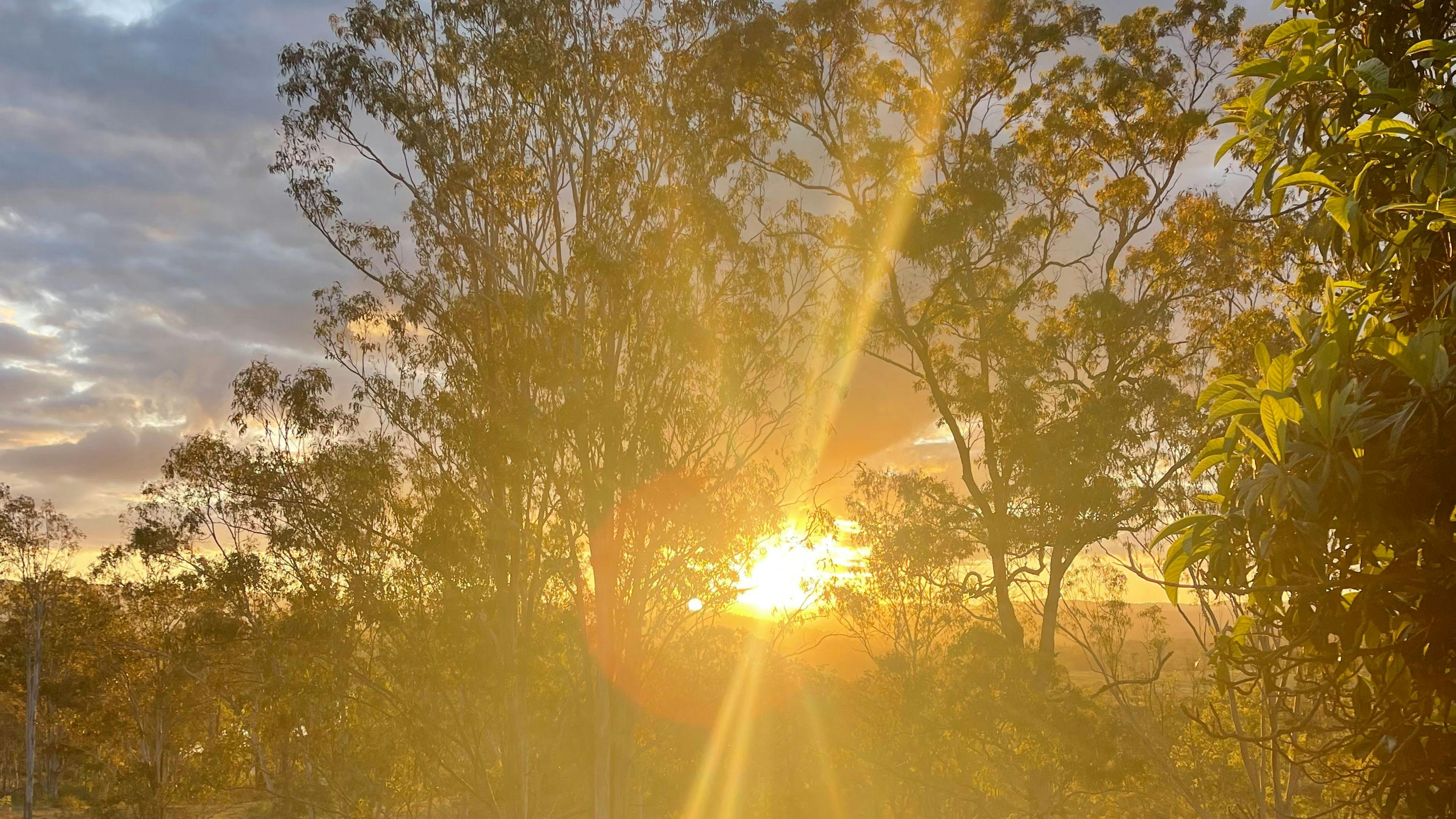 클라렌스에 있는 랜치