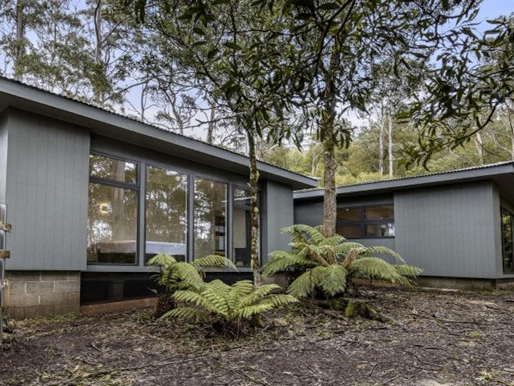 The exterior of The Residence surrounded by trees in New England National Park. Photo: Mitchell