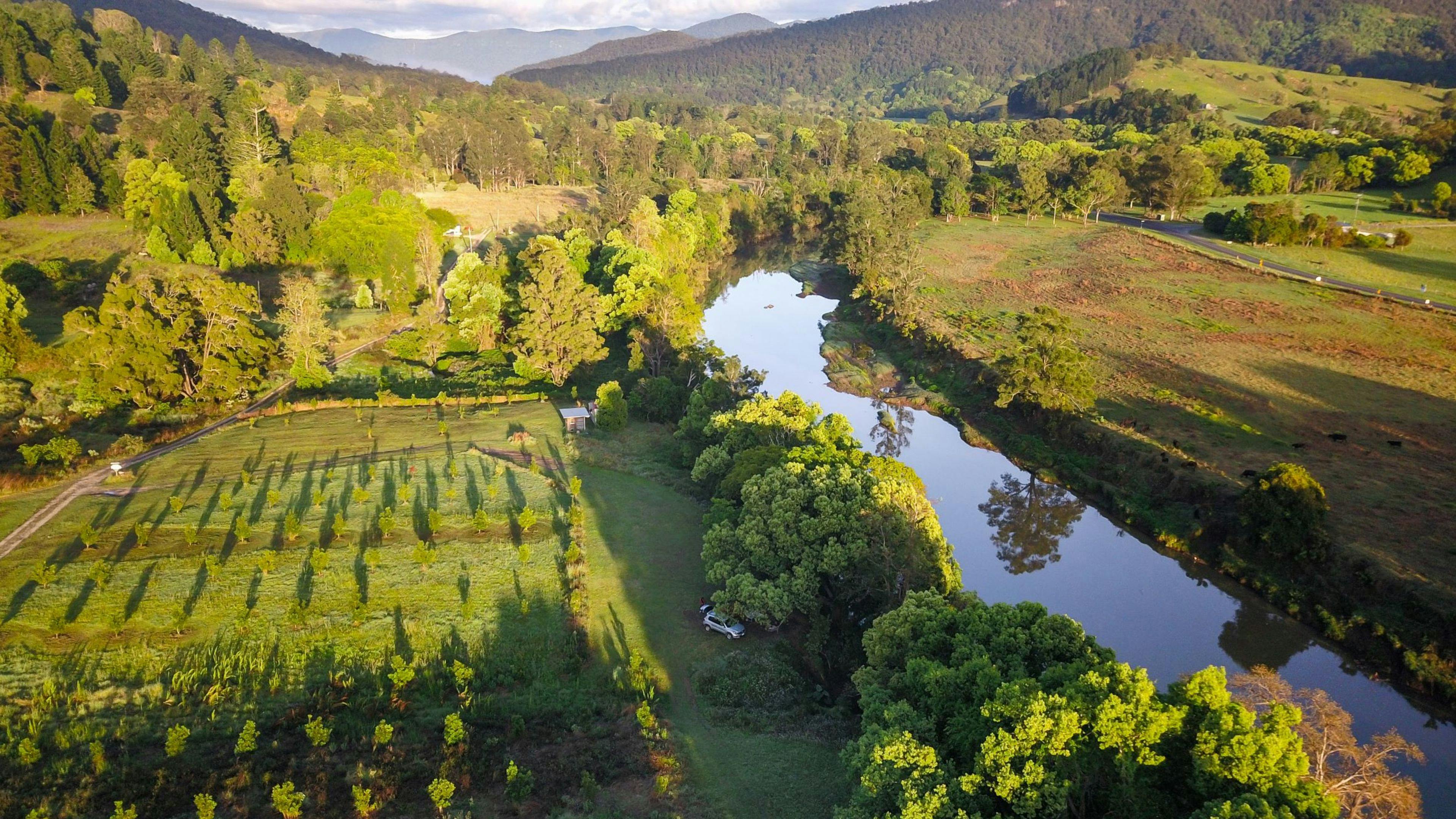 early morning view of the orchard and river