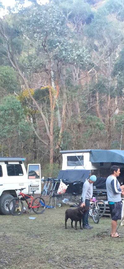 Family, friends and dogs catchup at Woodlands 1 in a drier year