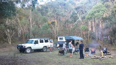 Family, friends and dogs catchup at Woodlands 1 in a drier year