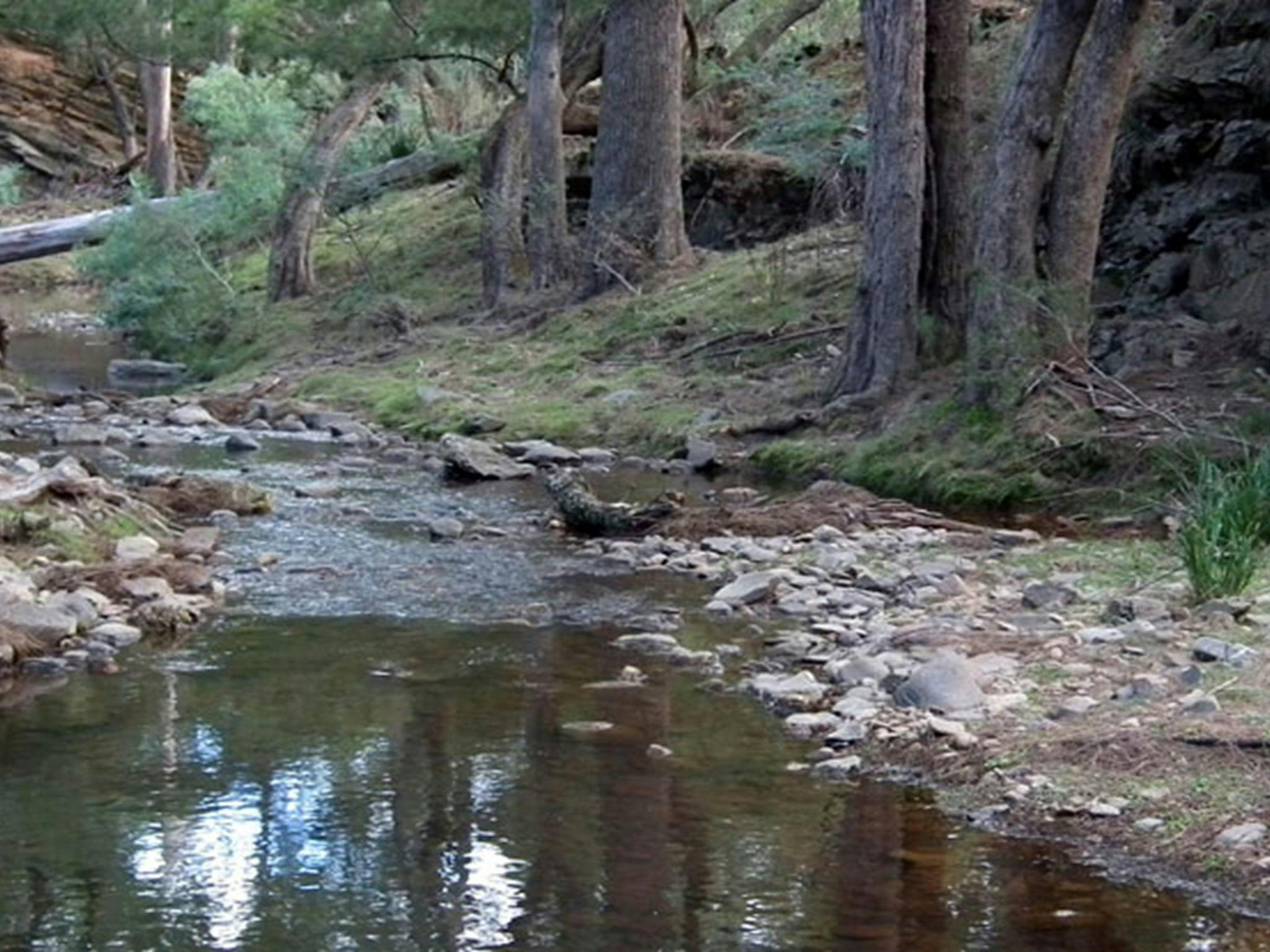The Sink campground