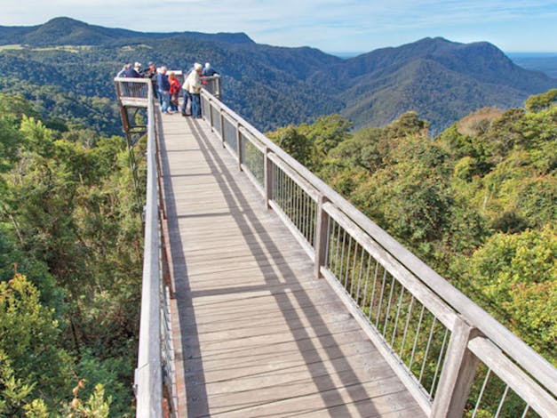 Dorrigo National Park