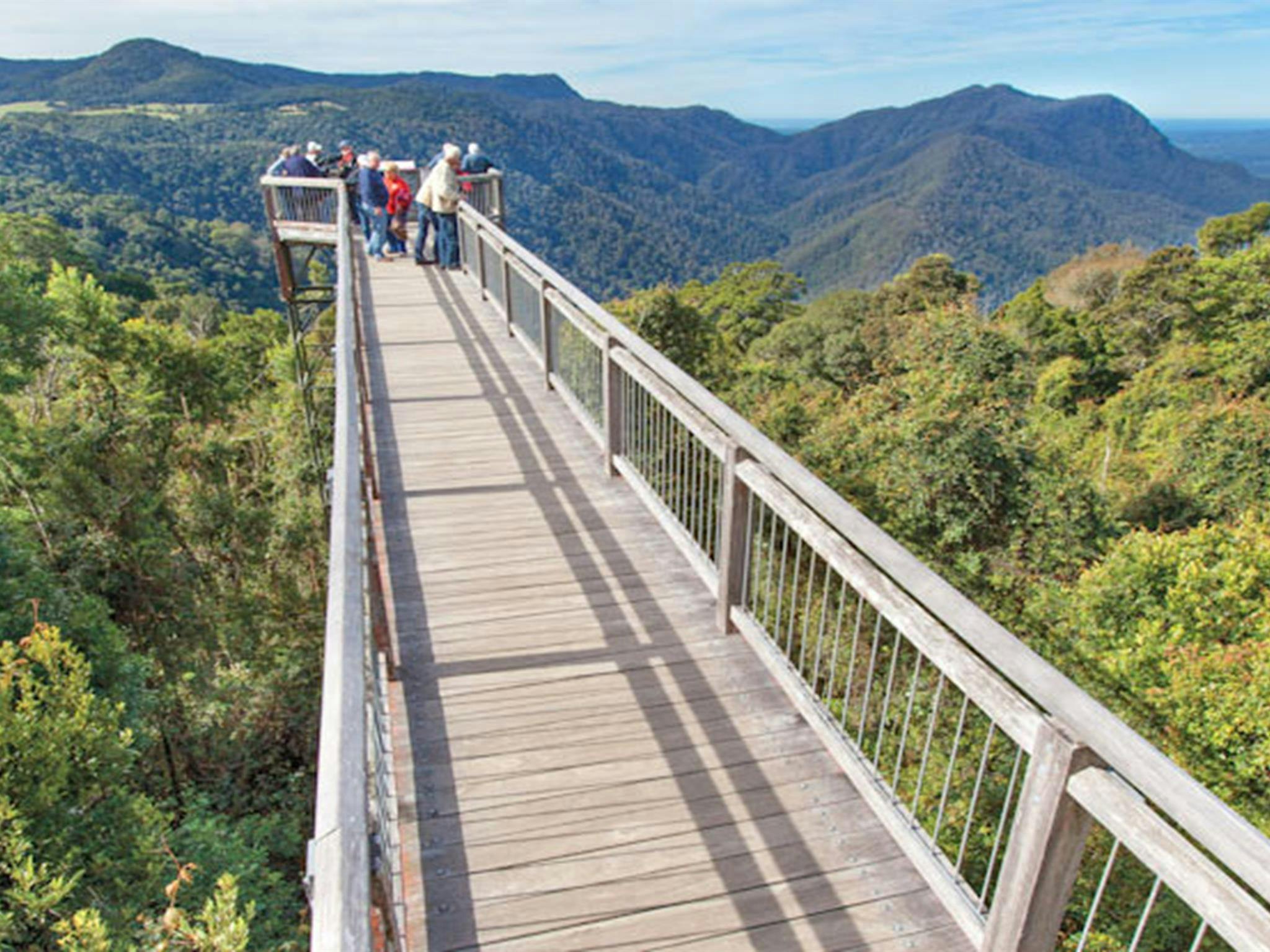 Aussichtsplattform Skywalk, Dorrigo-Nationalpark. Foto: Rob Cleary © DPIE