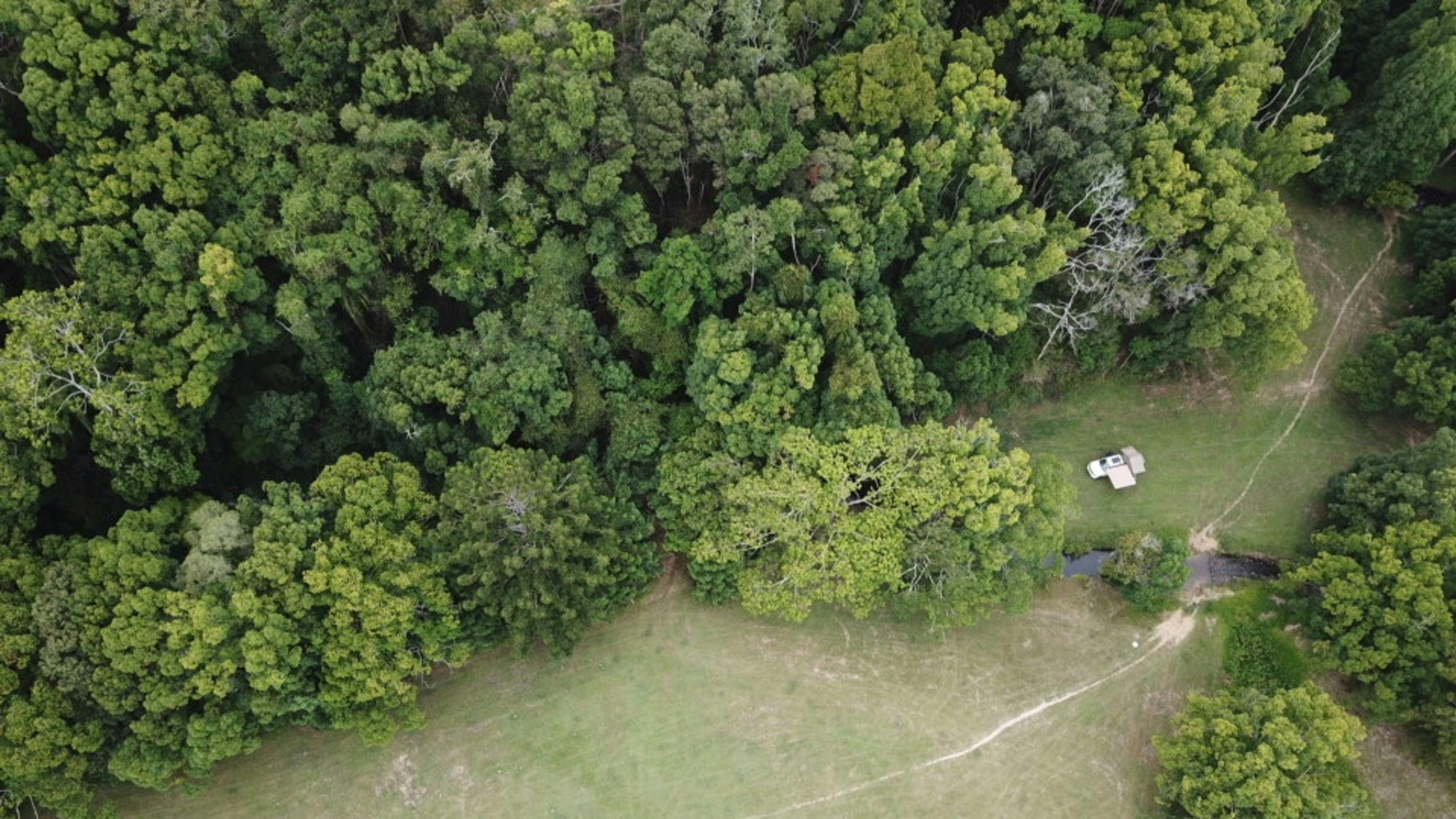 The Sleepy Hollow Manor Estate