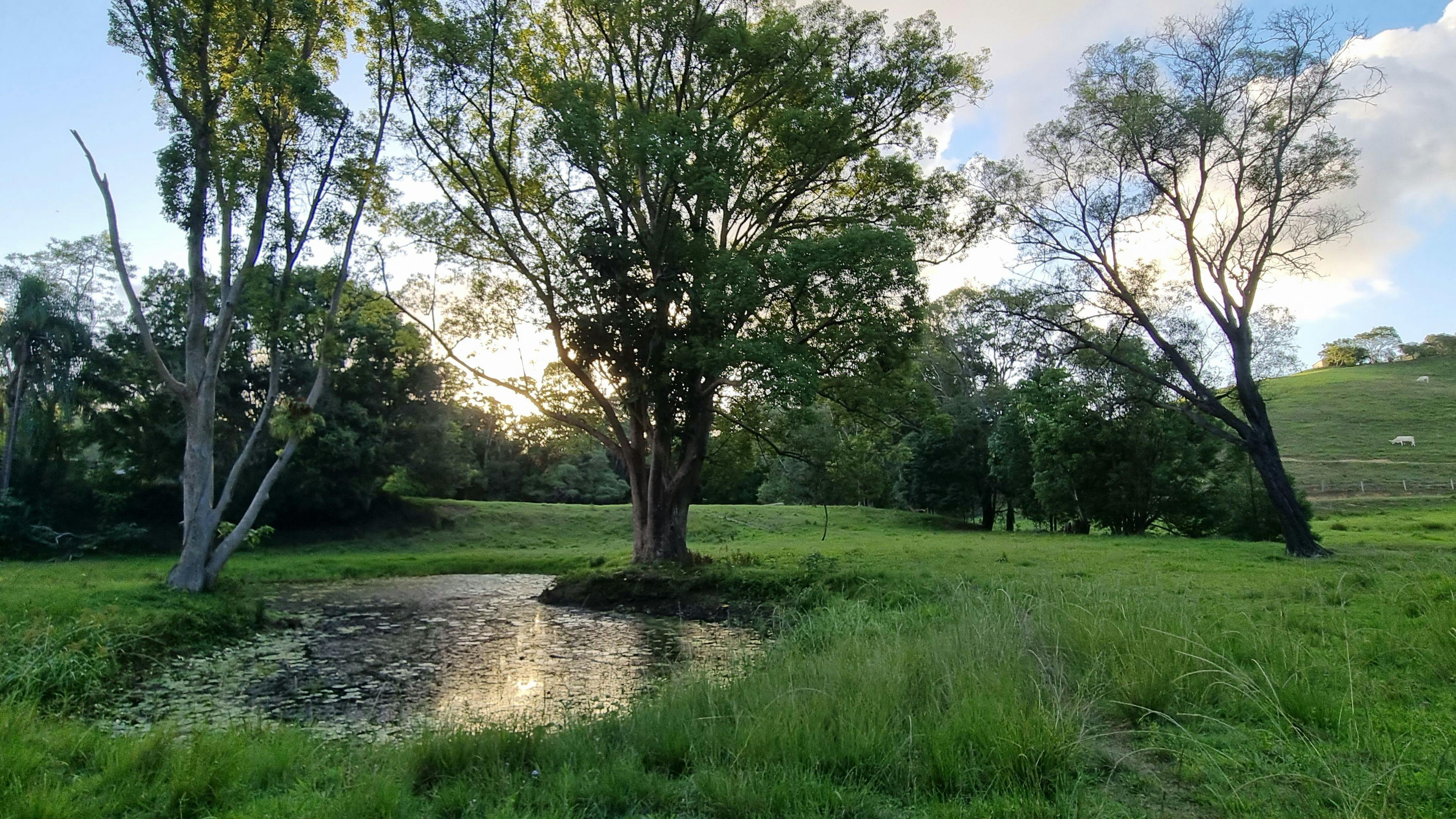 The Sleepy Hollow Manor Estate