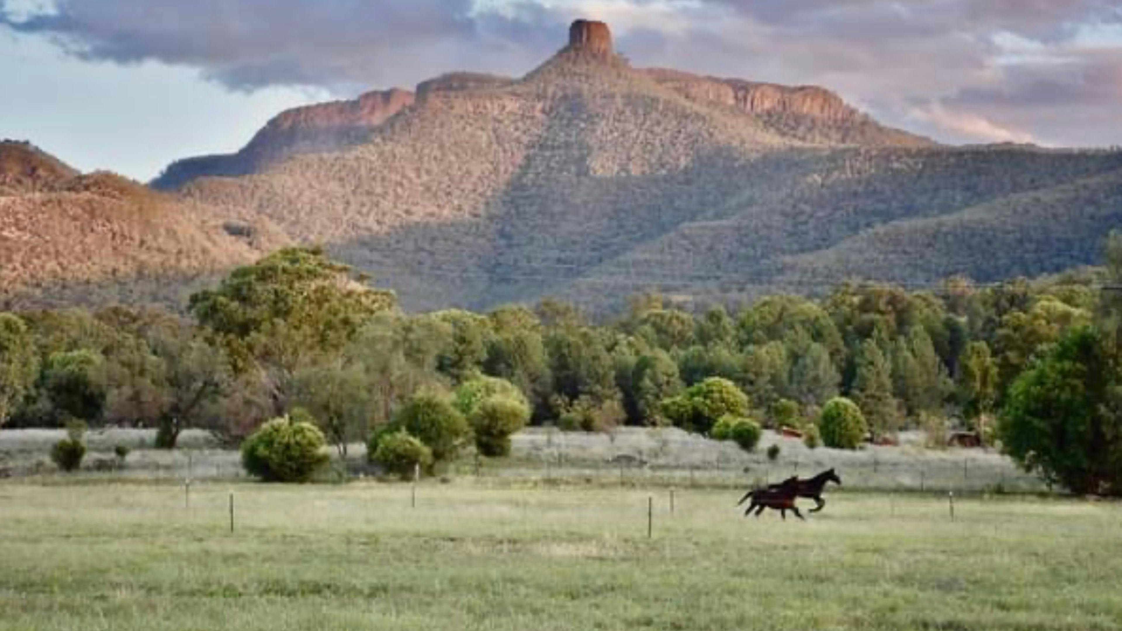 The Valley